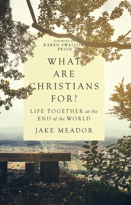 What Are Christians For? book cover