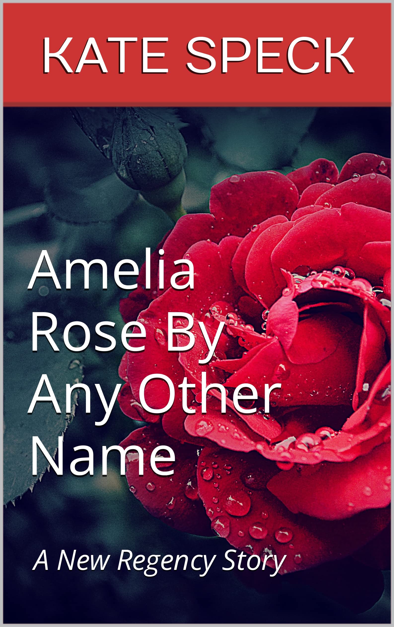 Amelia Rose By Any Other Name: A New Regency Story by Kate Speck ...
