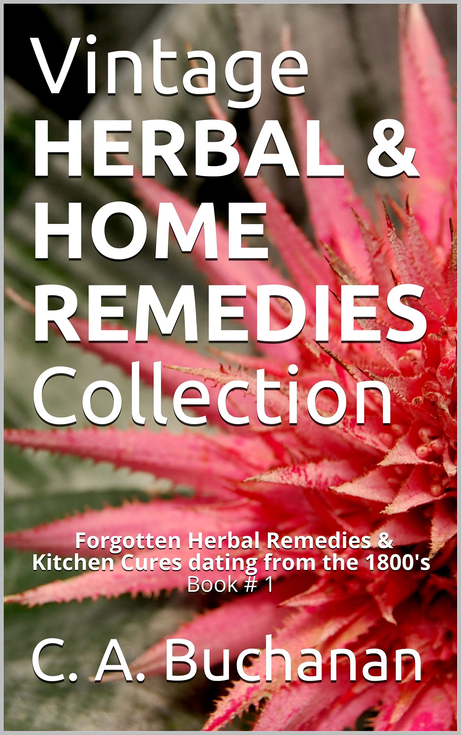 Vintage HERBAL & HOME REMEDIES Collection Book 1 Long Lost Herbal
