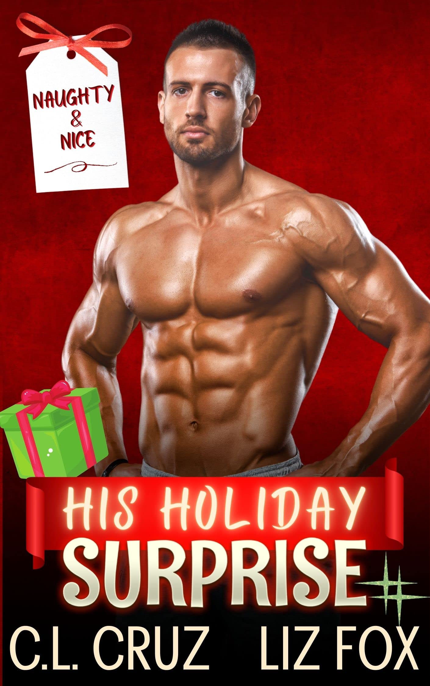 His Holiday Surprise book cover
