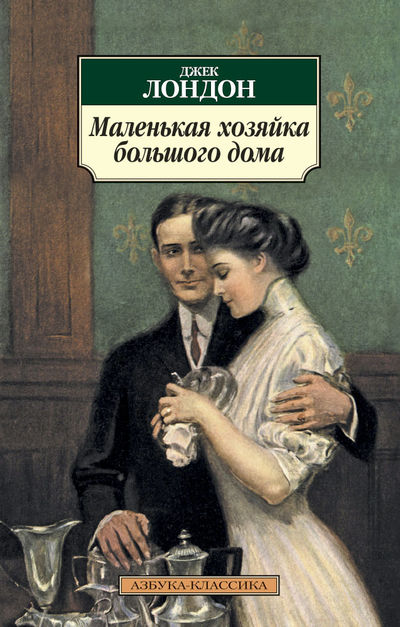 Маленькая хозяйка большого дома book cover
