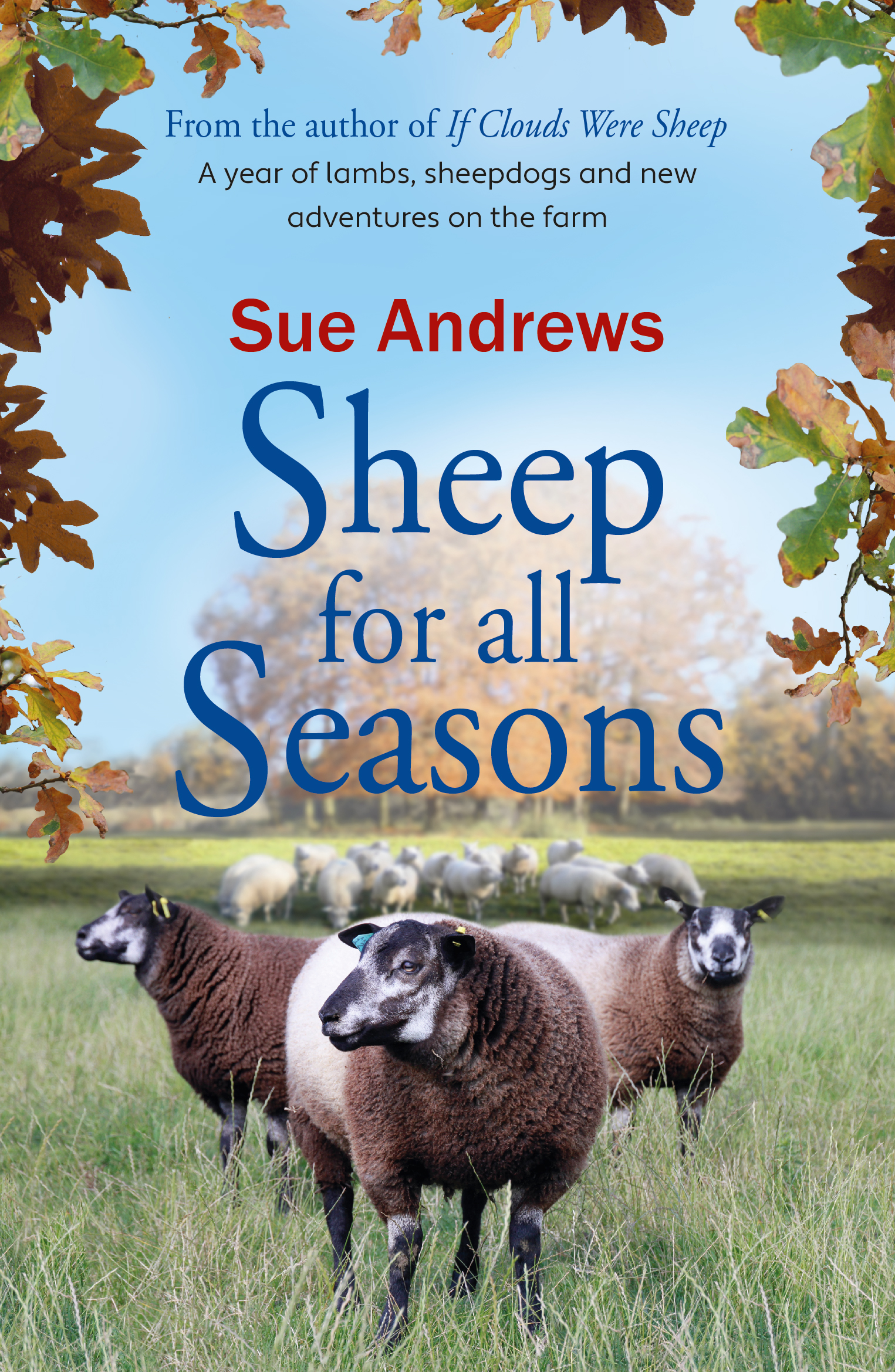 Sheep For All Seasons: A tale of lambs, sheepdogs and new adventures on the farm: