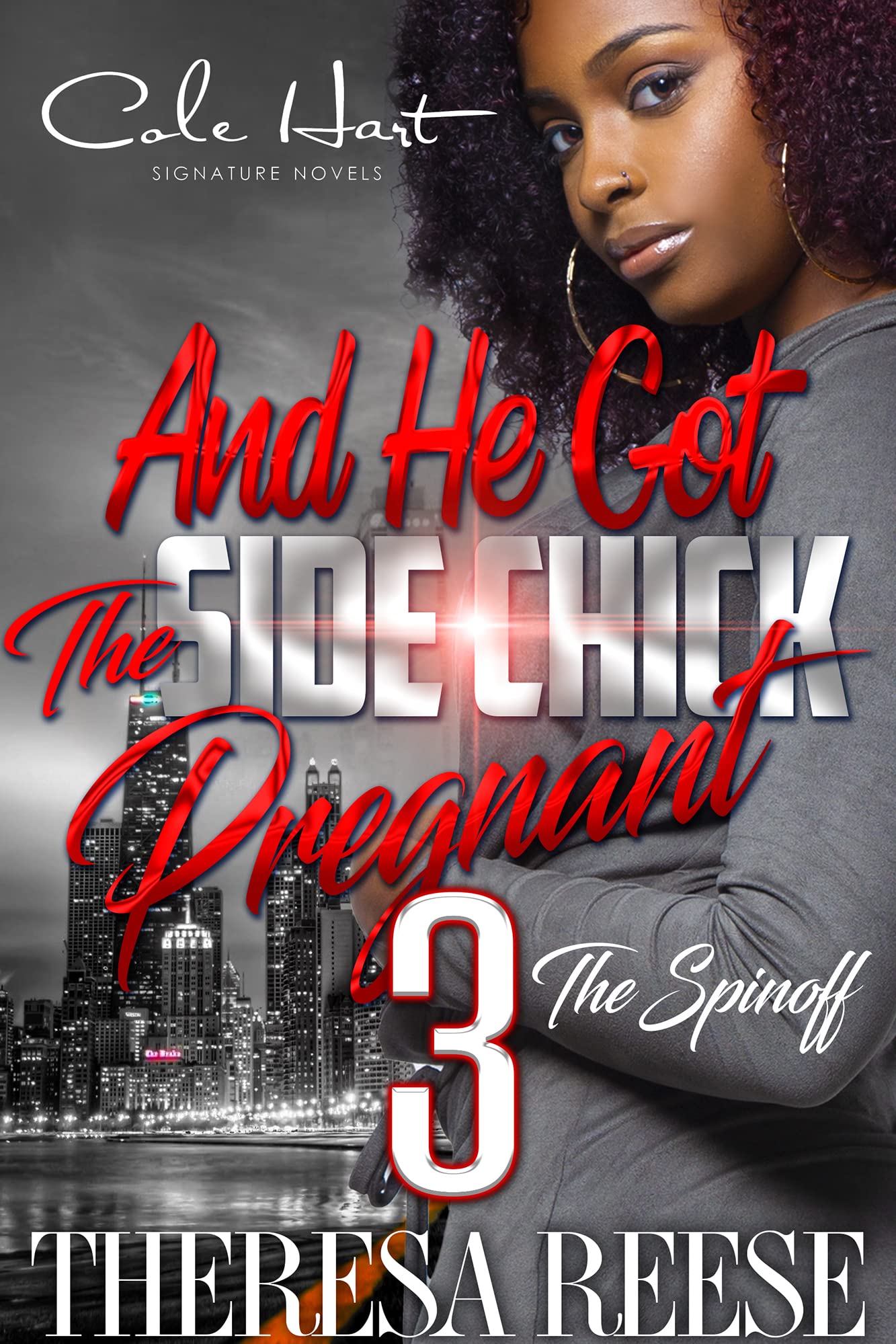 And He Got The Side Chick Pregnant 3 book cover