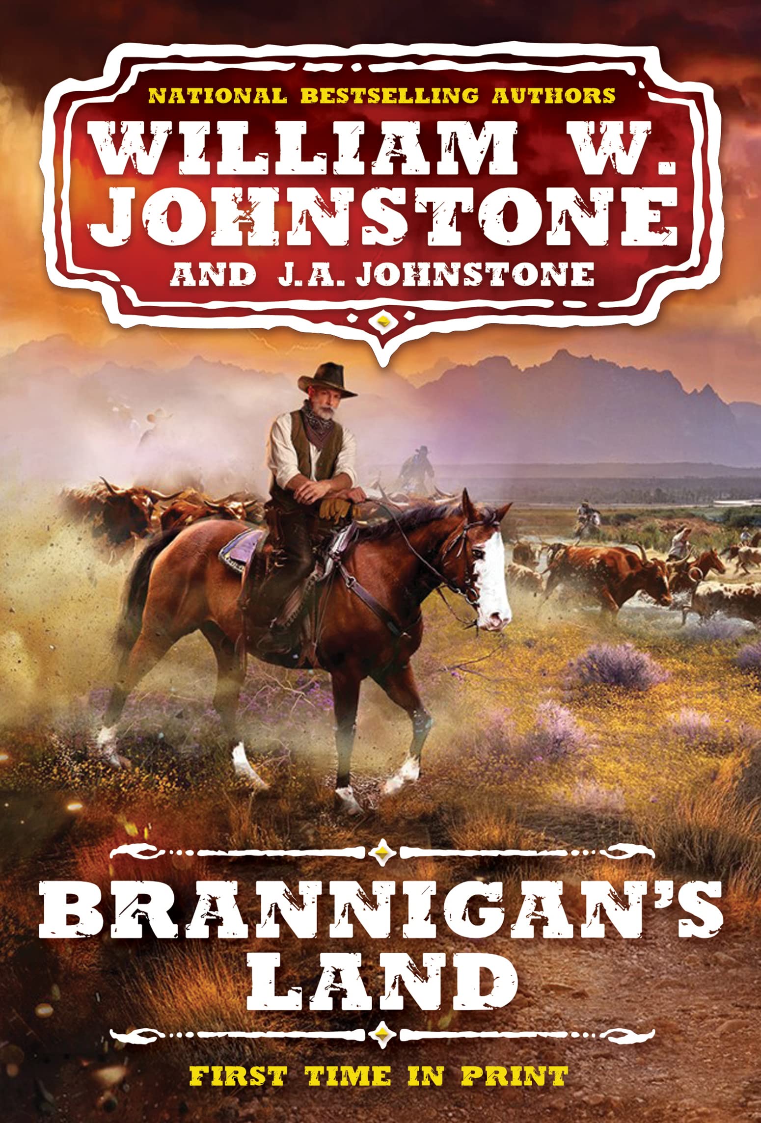 Brannigan's Land book cover 1