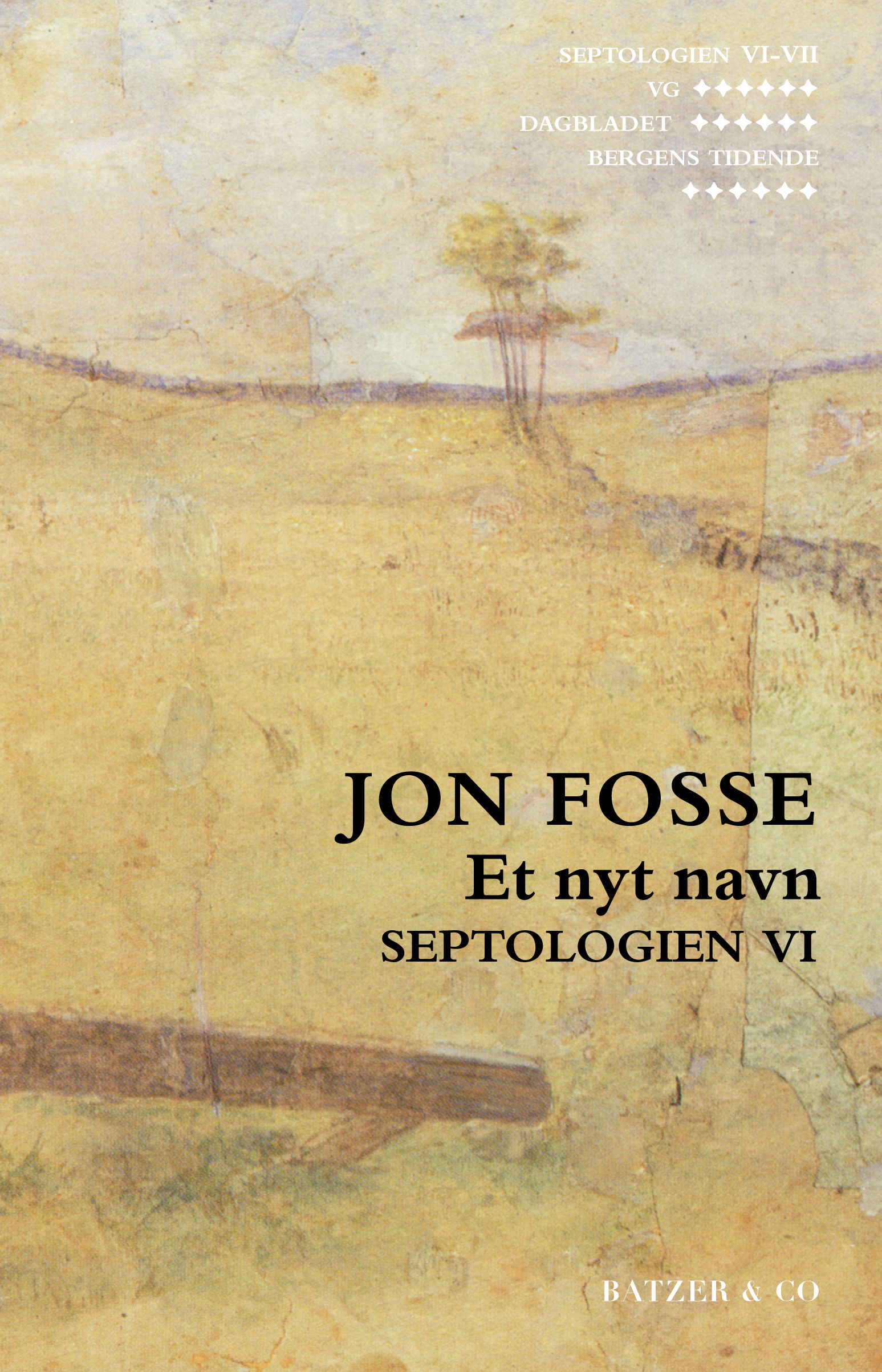 Et nyt navn - Septologien VI book cover