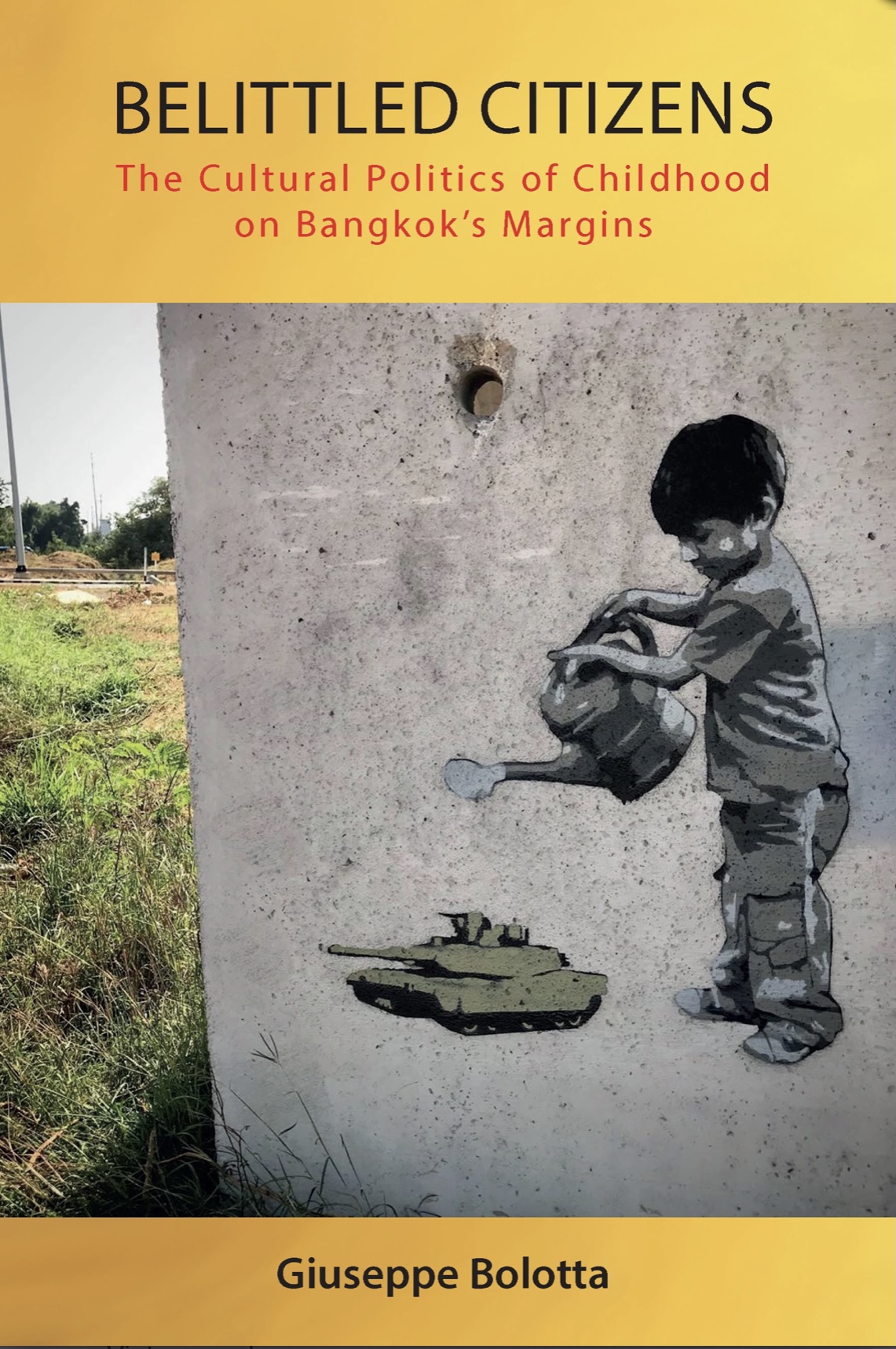 Belittled Citizens book cover