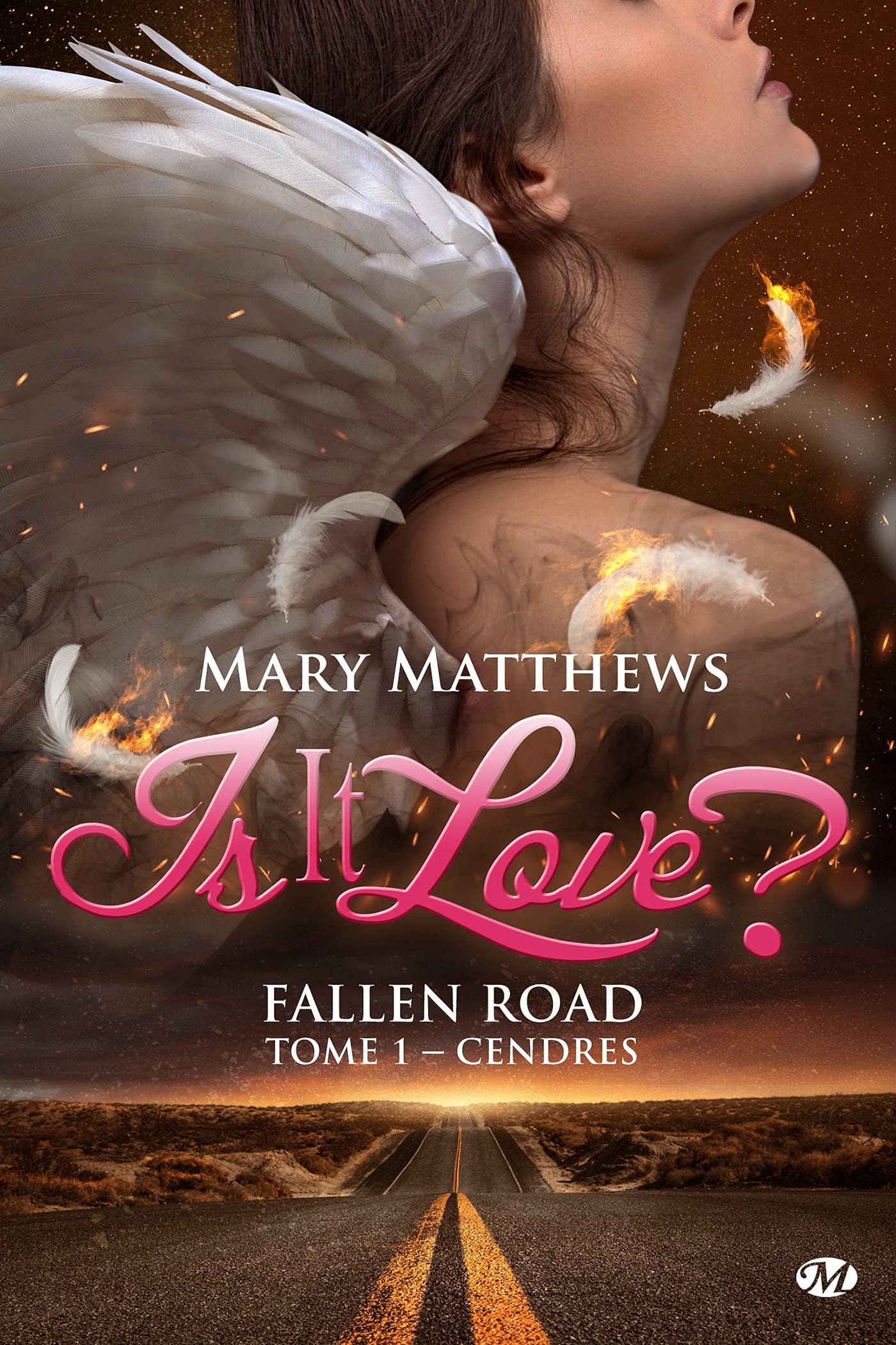 Is it love ? Fallen road, T1 book cover