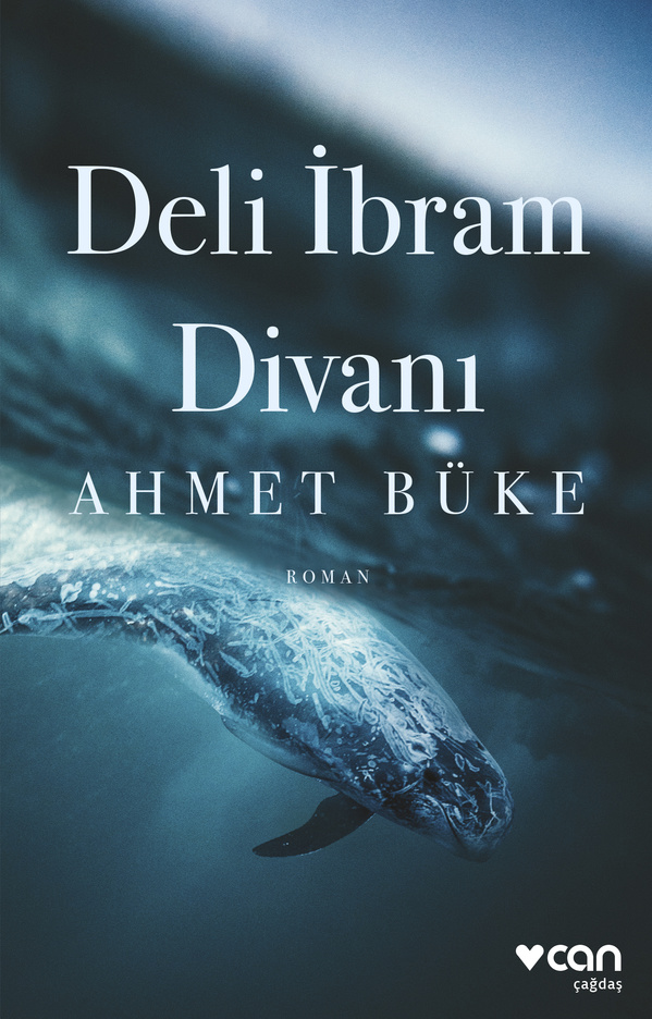 Deli İbram Divanı book cover