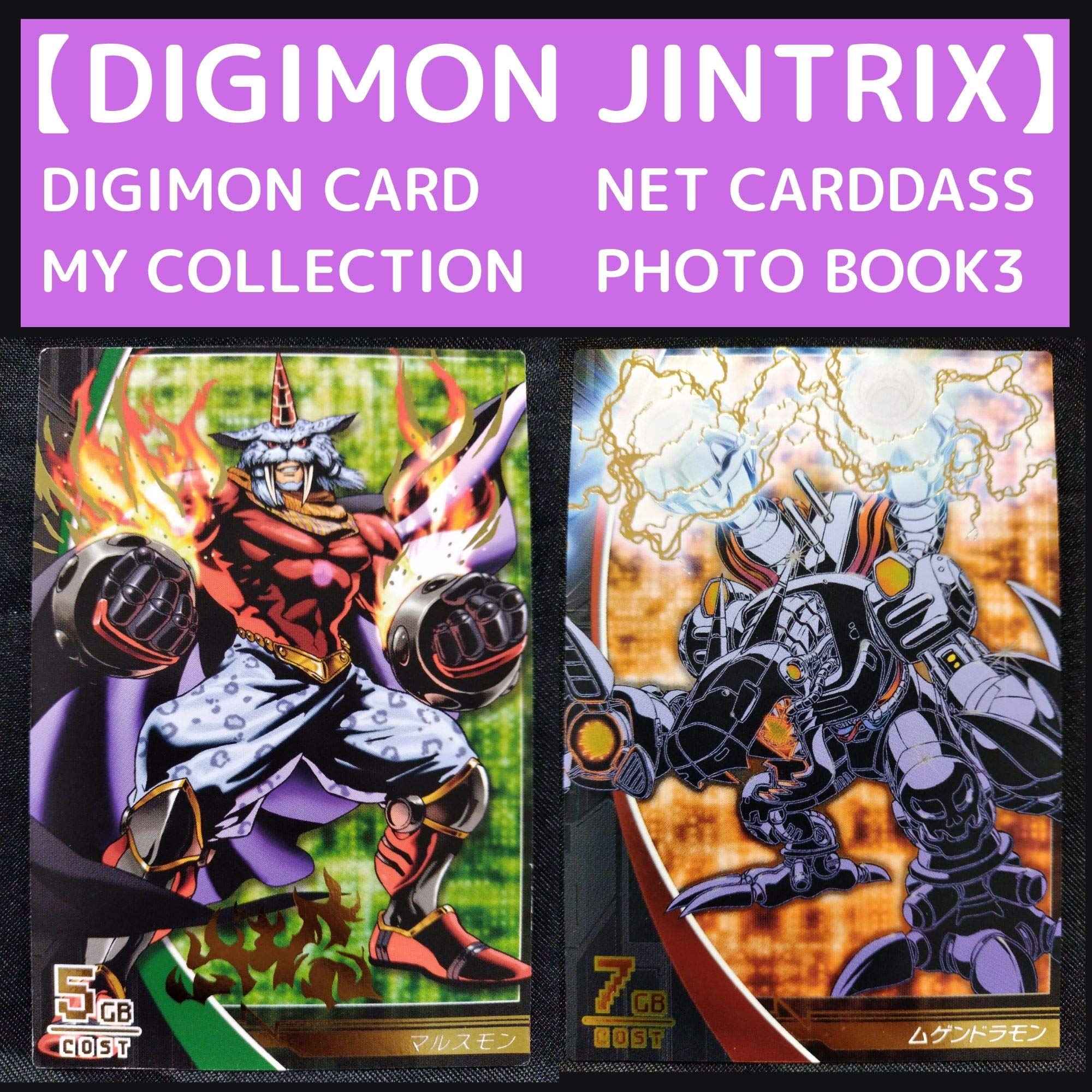 【DIGIMON CARDDASS DIGIMON JINTRIX DIGIMON ADVENTURE MY