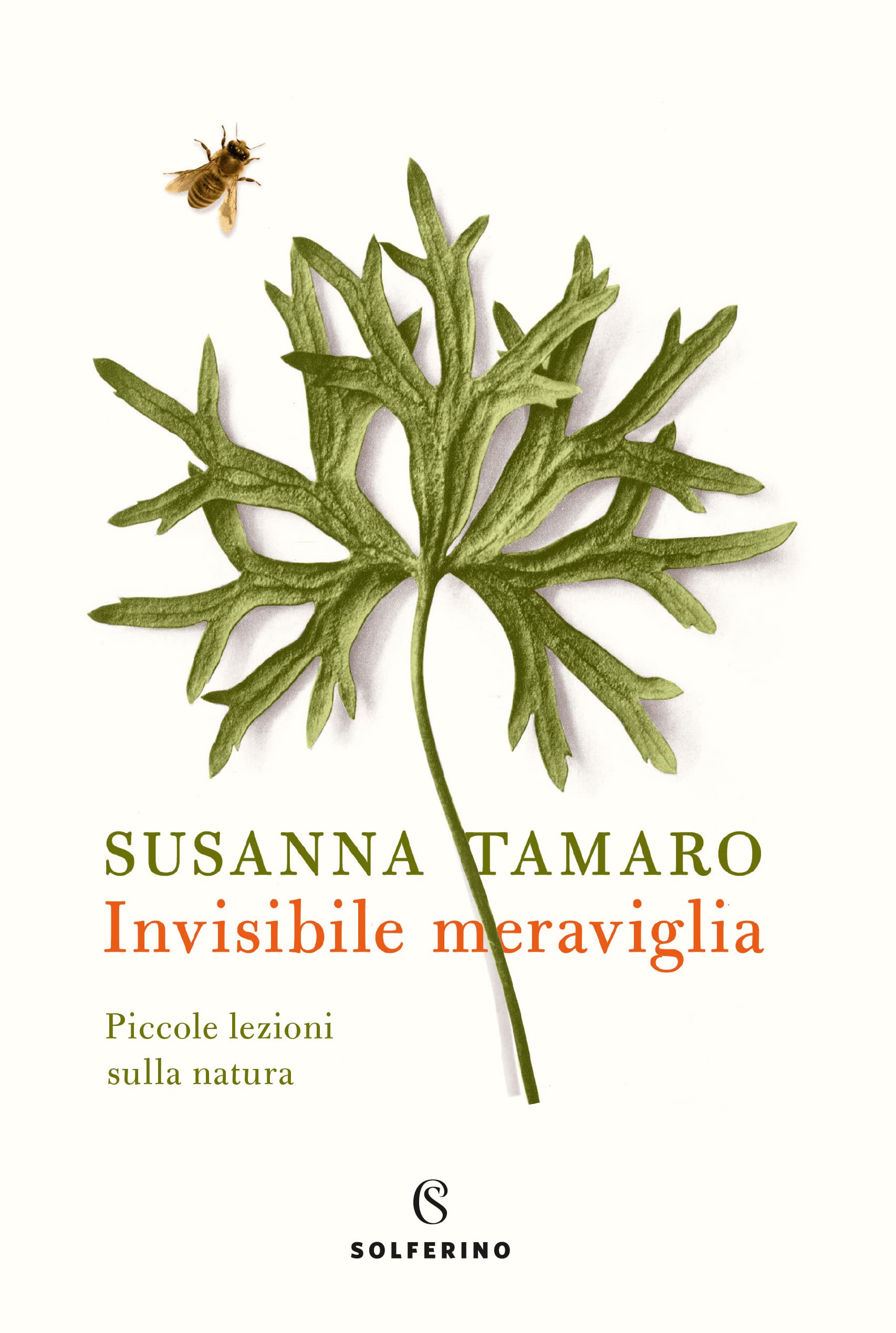 Invisibile meraviglia book cover