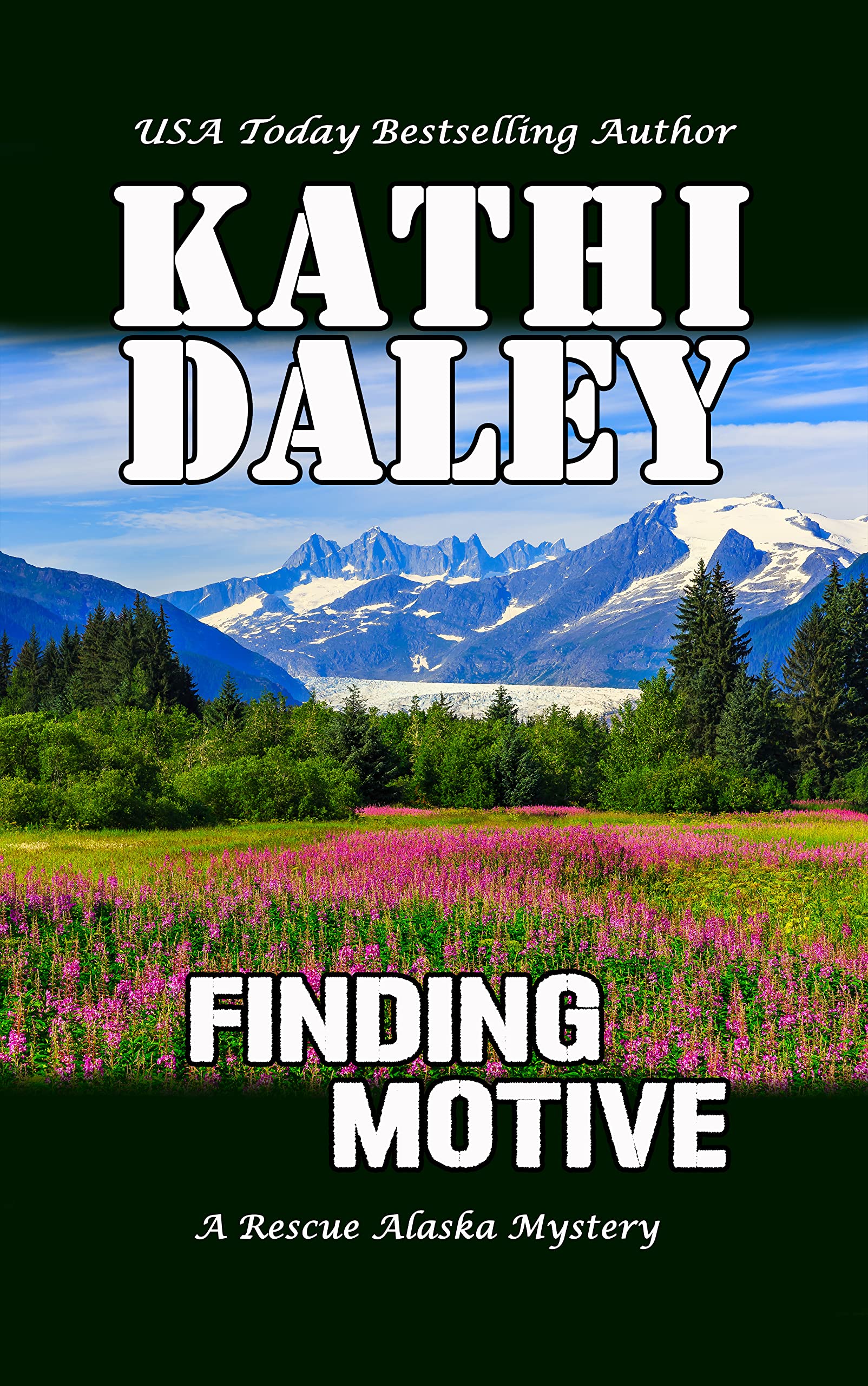 Finding Motive book cover