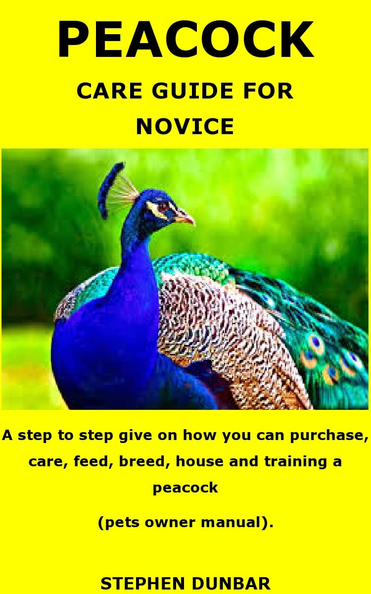 PEACOCK CARE GUIDE FOR NOVICE A step to step give on how you can