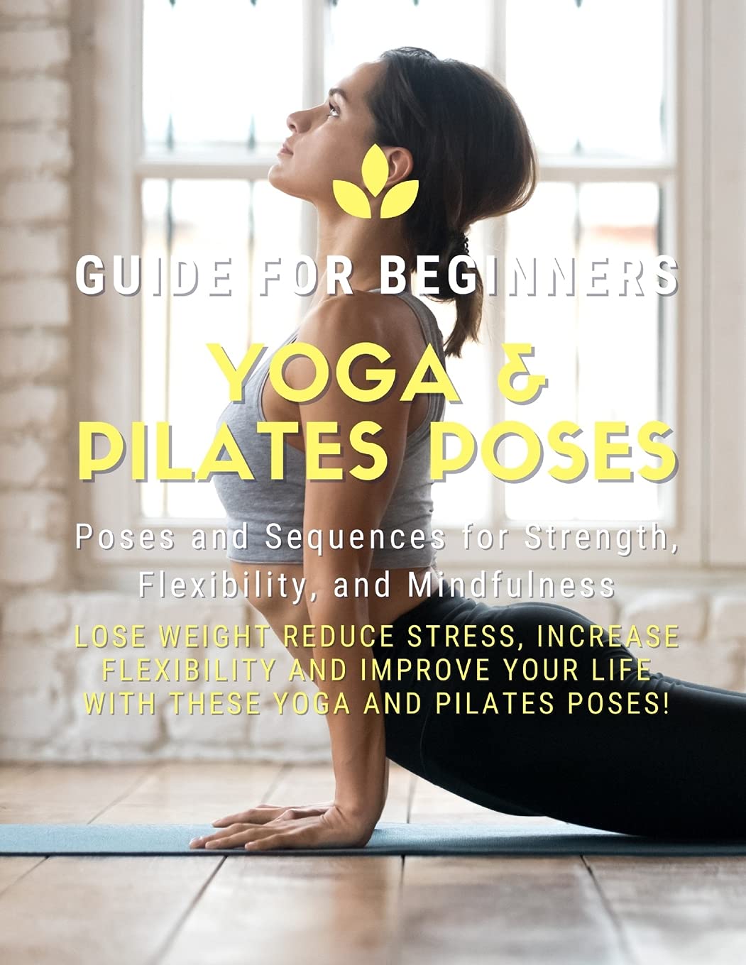 Yoga and Pilates Poses Yoga Guide for Beginners 101 Poses and