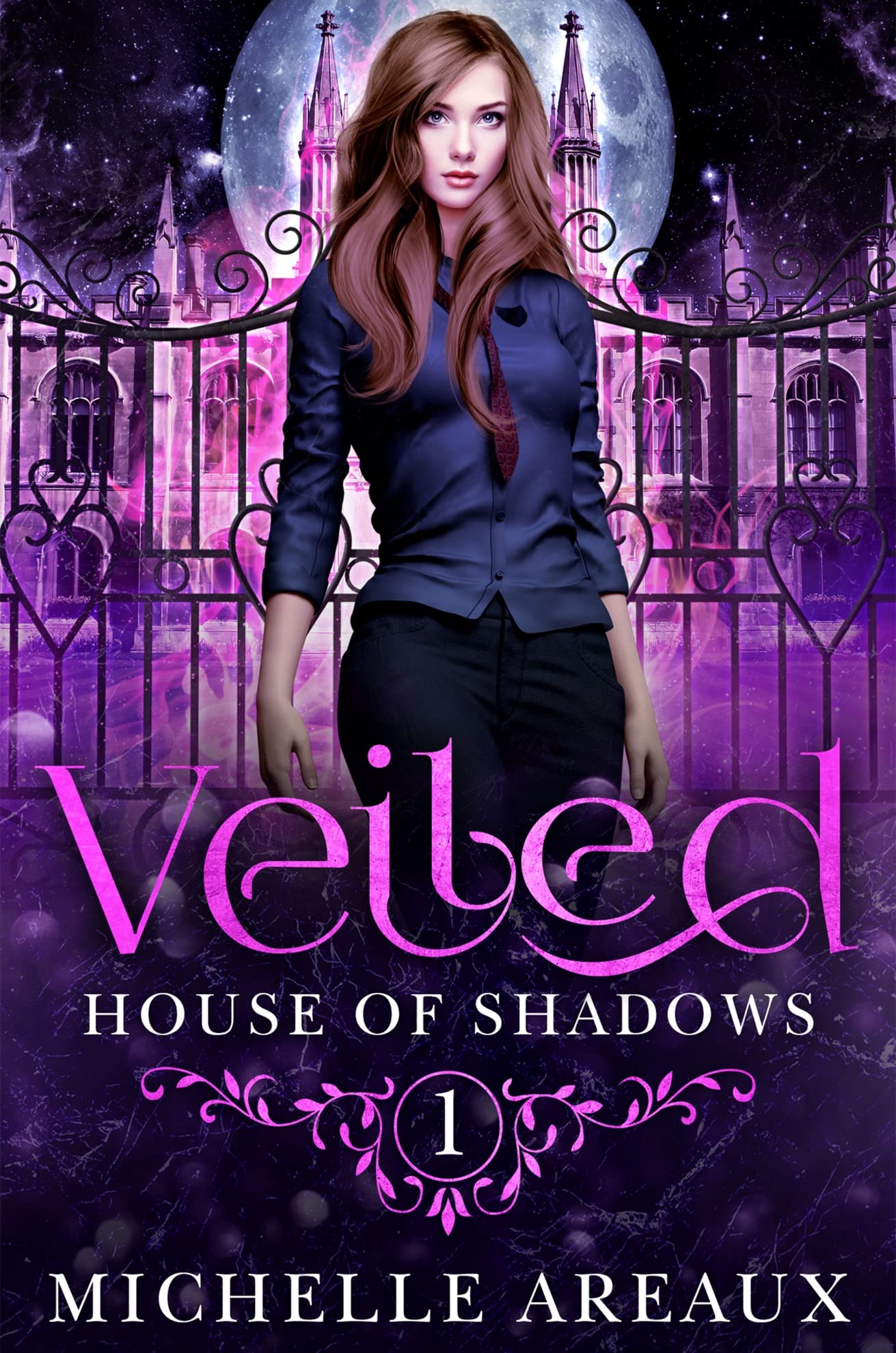 Veiled book cover