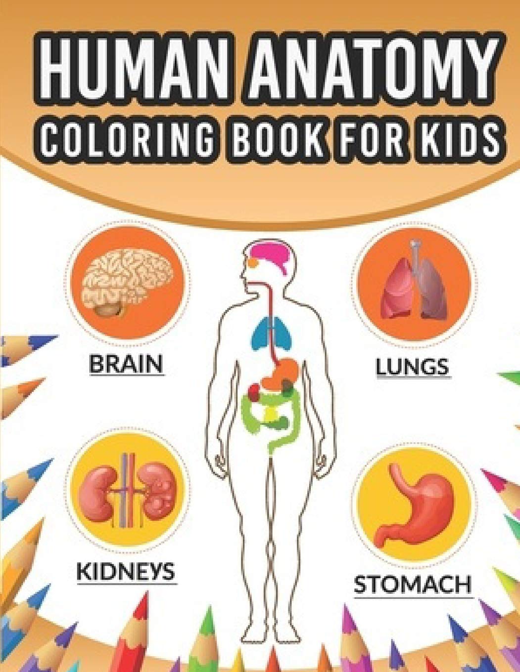 Human Anatomy Coloring book for kids :: Human body Coloring pages by ...