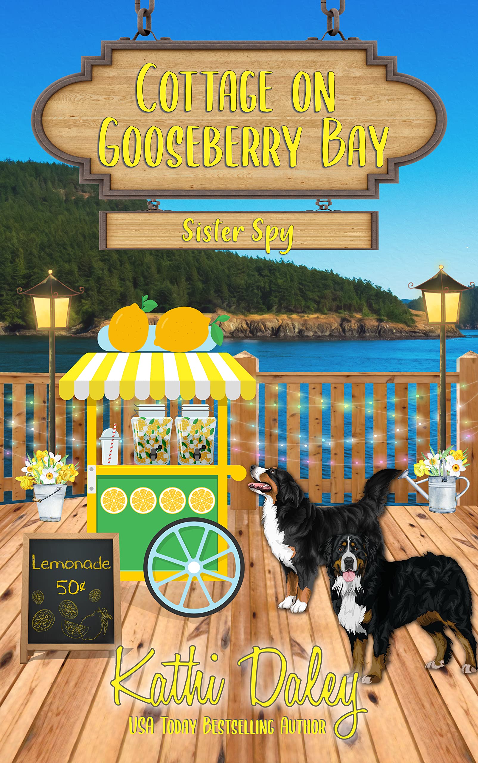 Sister Spy (Cottage on Gooseberry Bay, 9) by Kathi Daley Goodreads