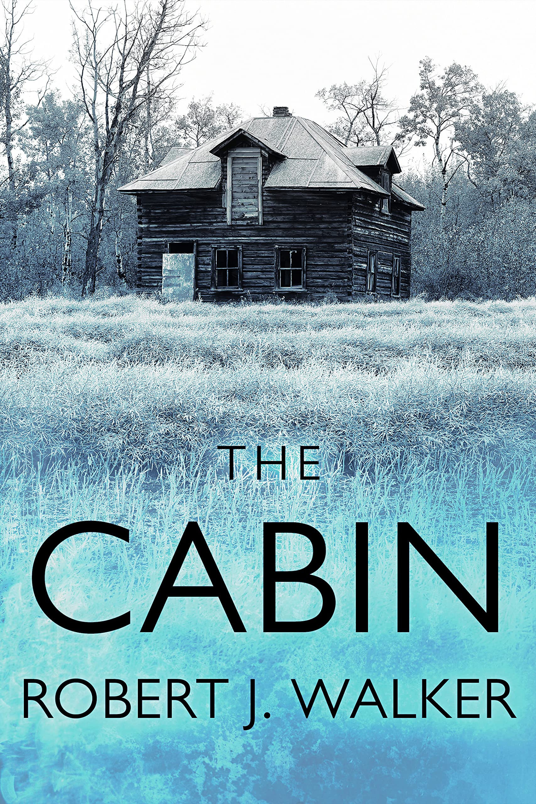 The Cabin book cover