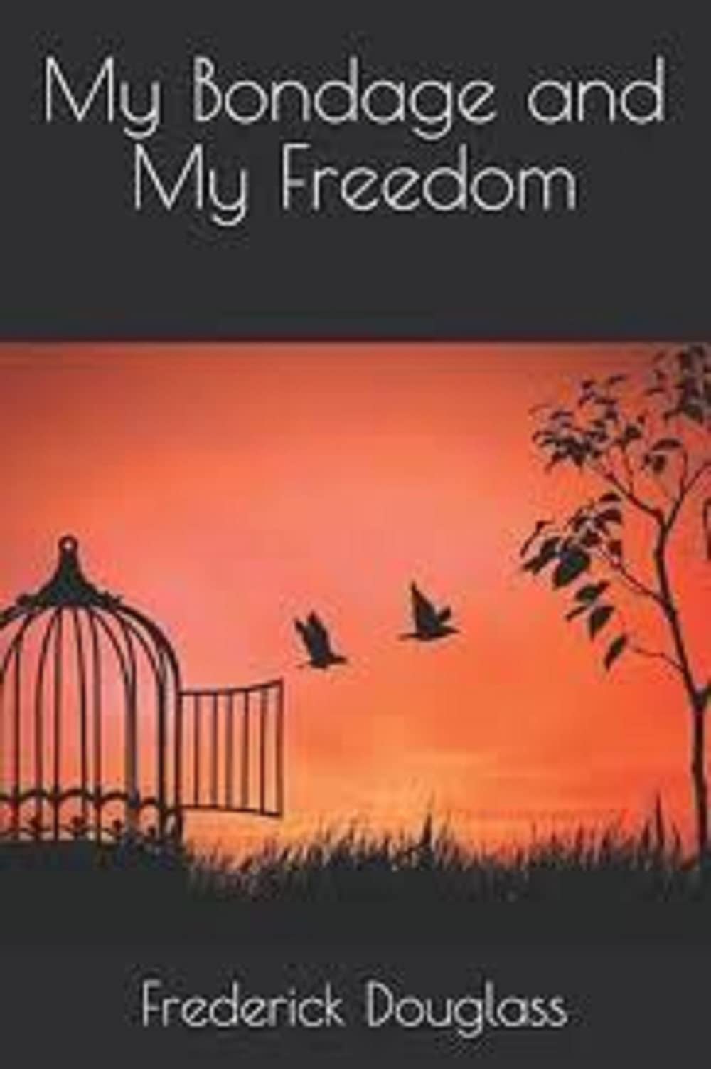 My Bondage and My Freedom by Frederick Douglass illustrated edition