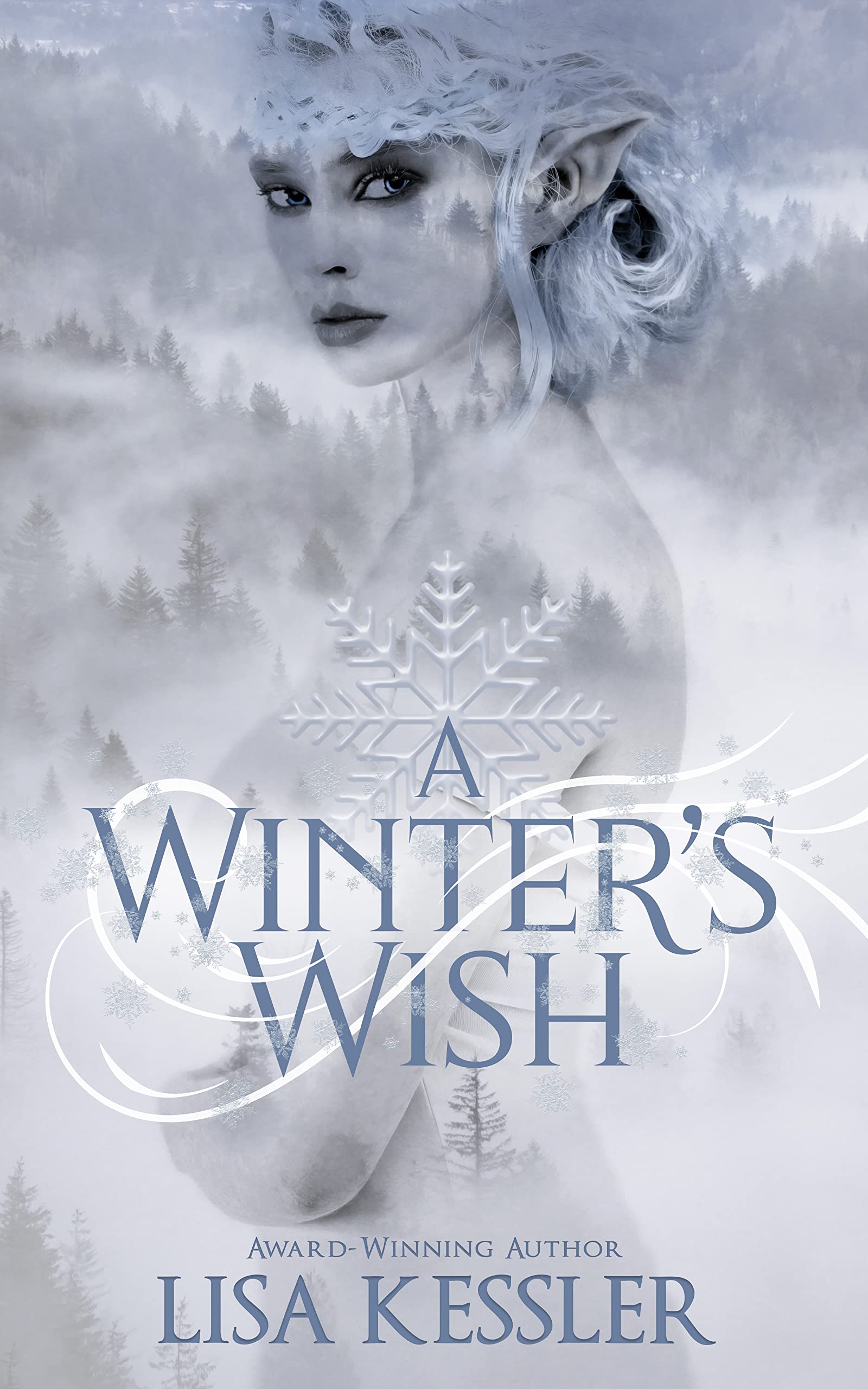 A Winter's Wish book cover