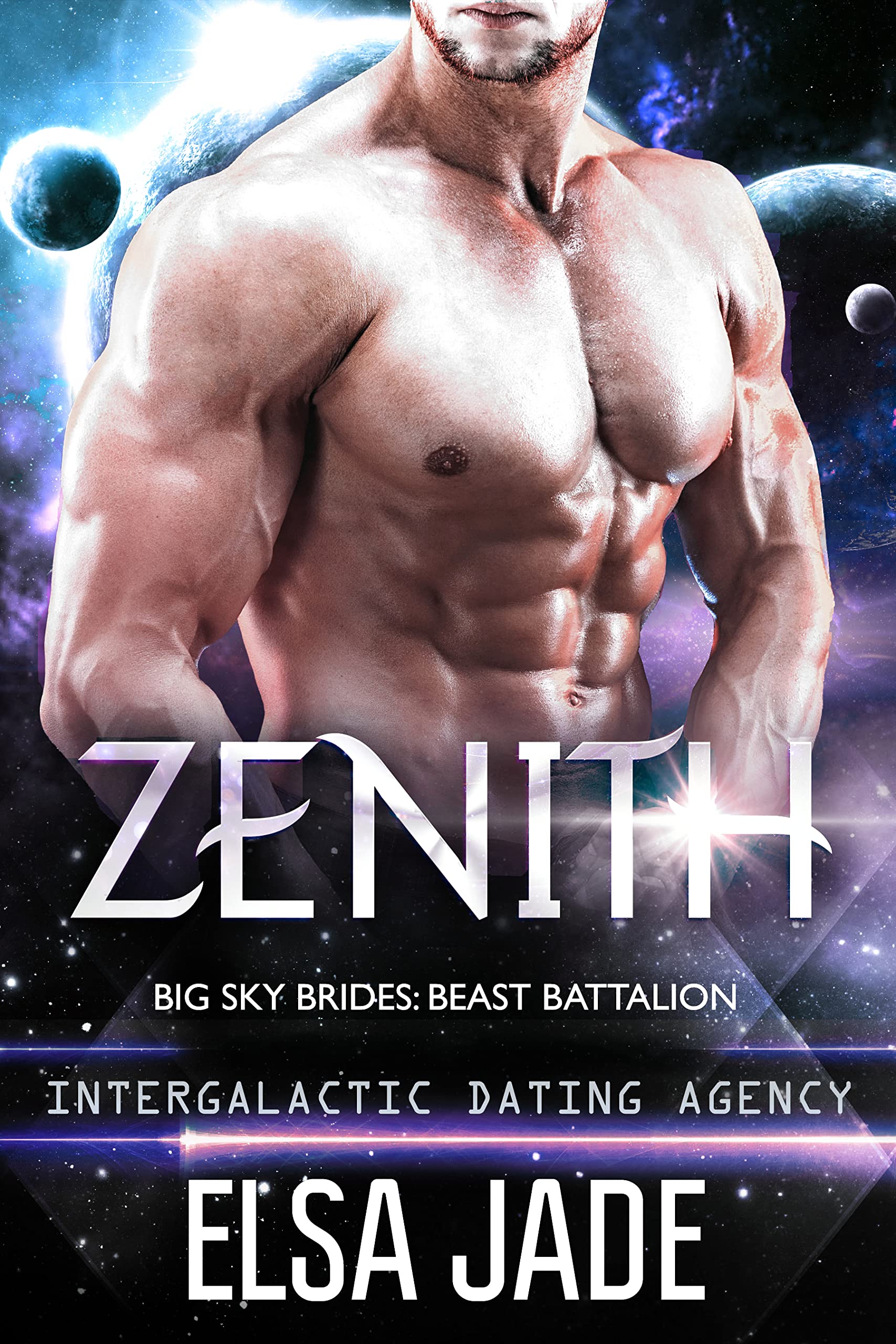 Zenith book cover