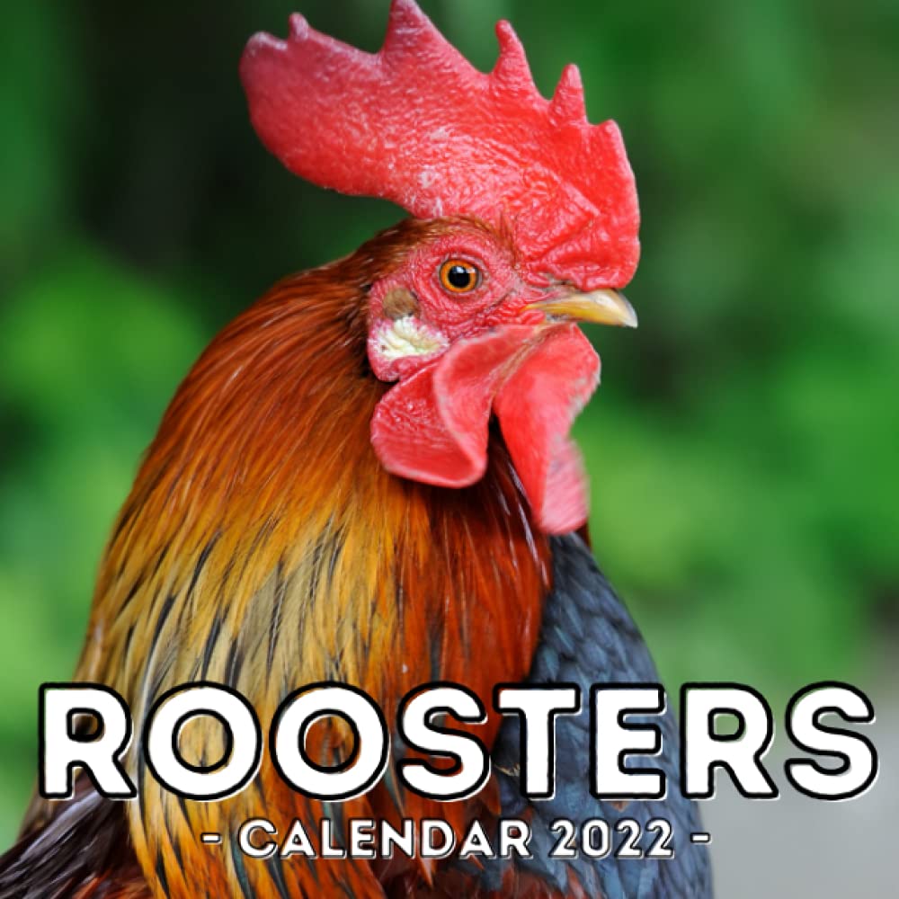 What Is A 16 Month Calendar