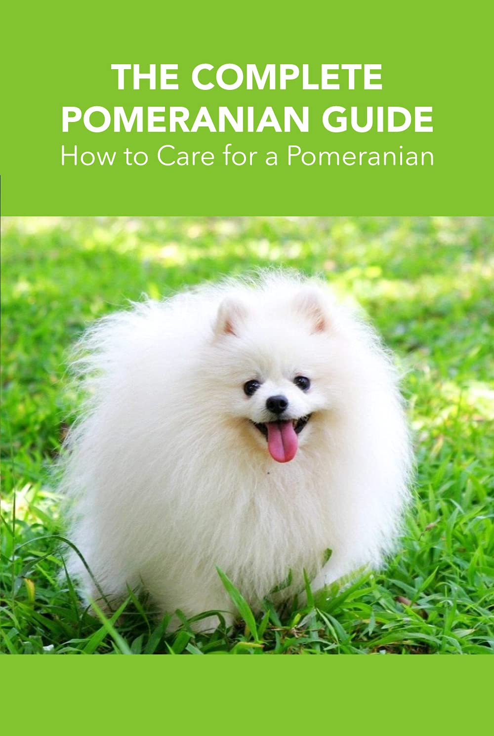 The Complete Pomeranian Guide How to Care for a Pomeranian How to Look after a Pomeranian by
