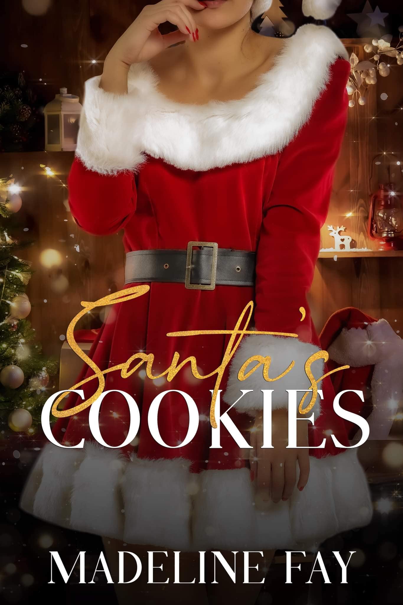 Santa's Cookies book cover