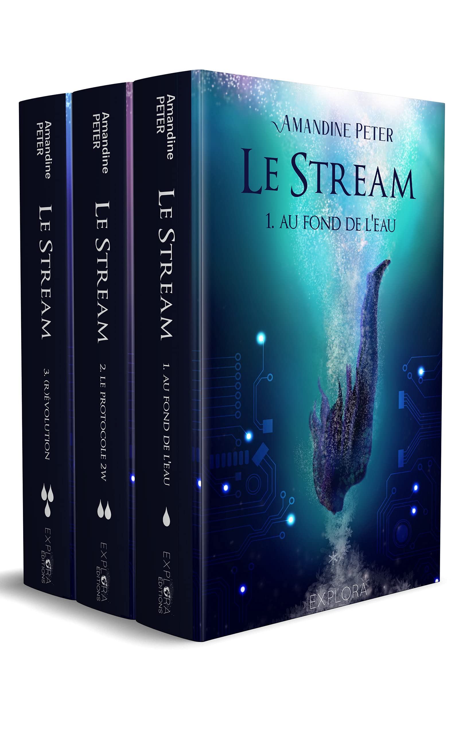 Le Stream : intégrale