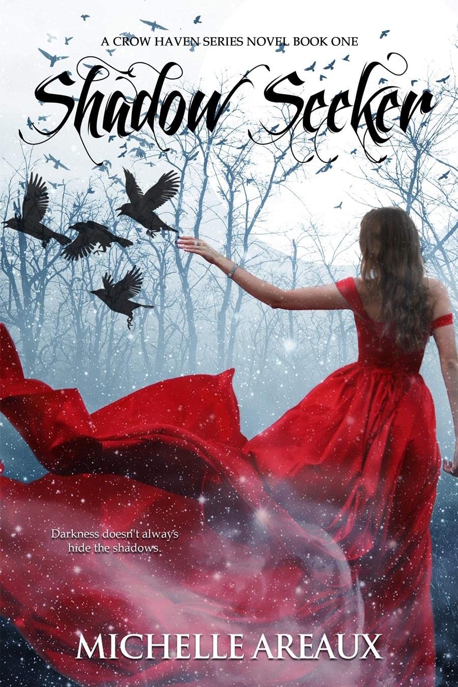 Shadow Seeker book cover