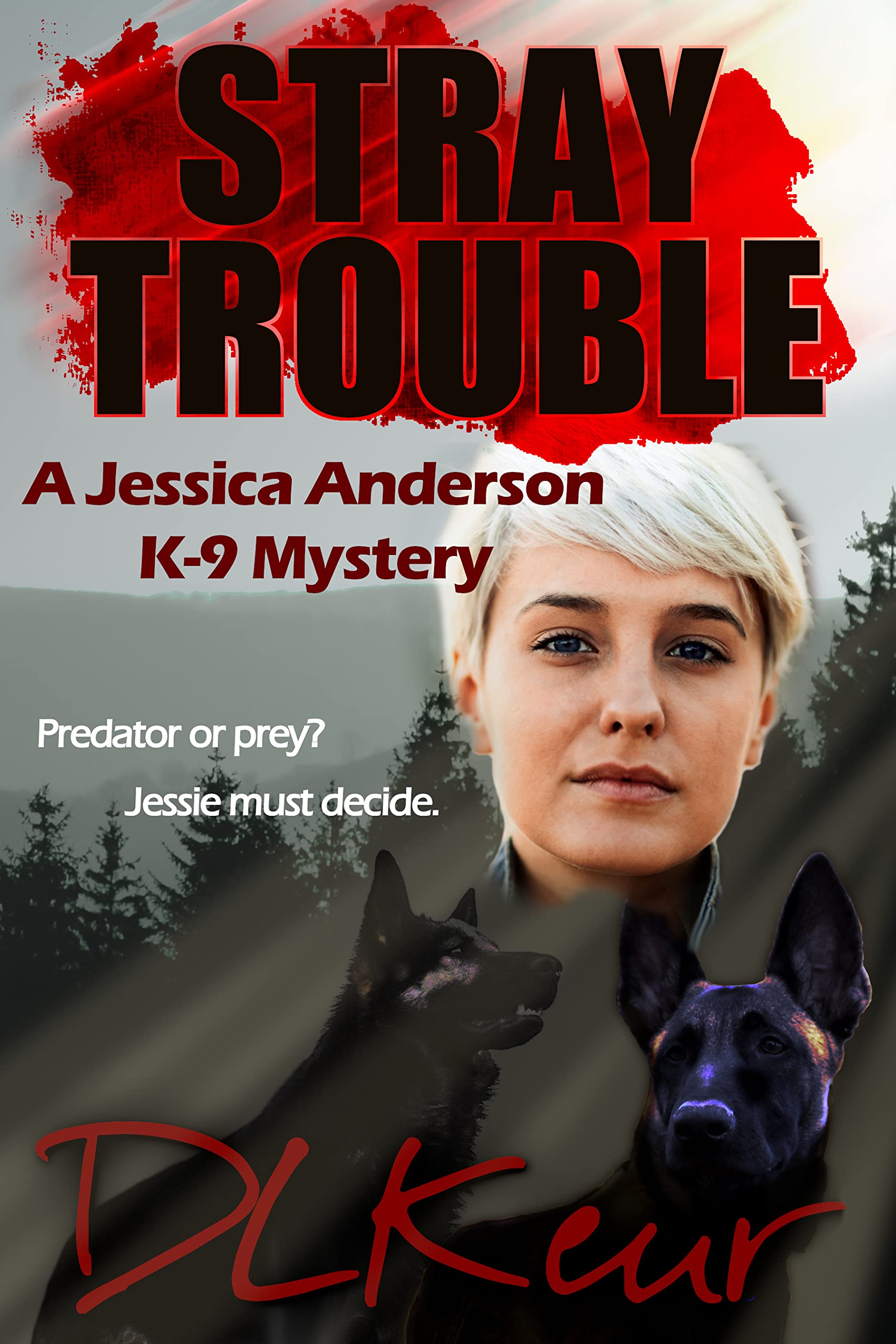 Stray Trouble