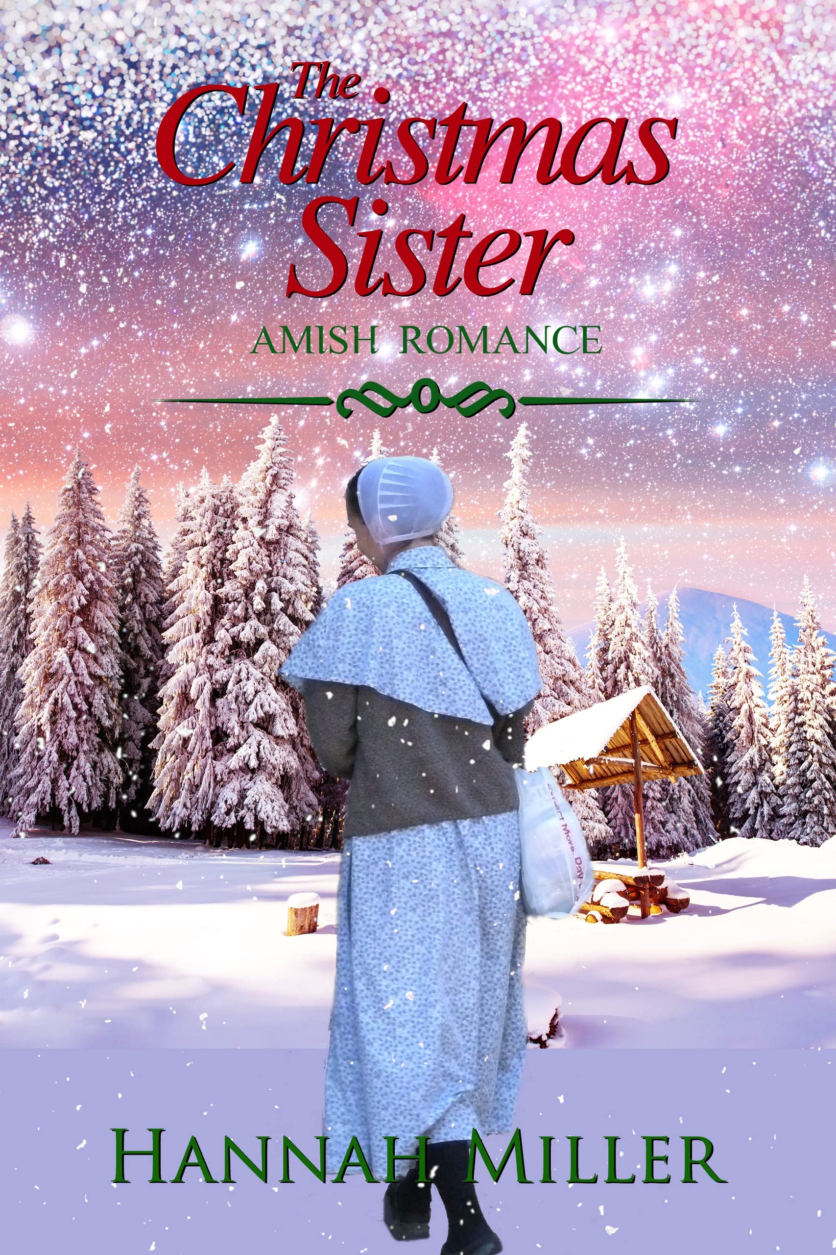 The Christmas Sister