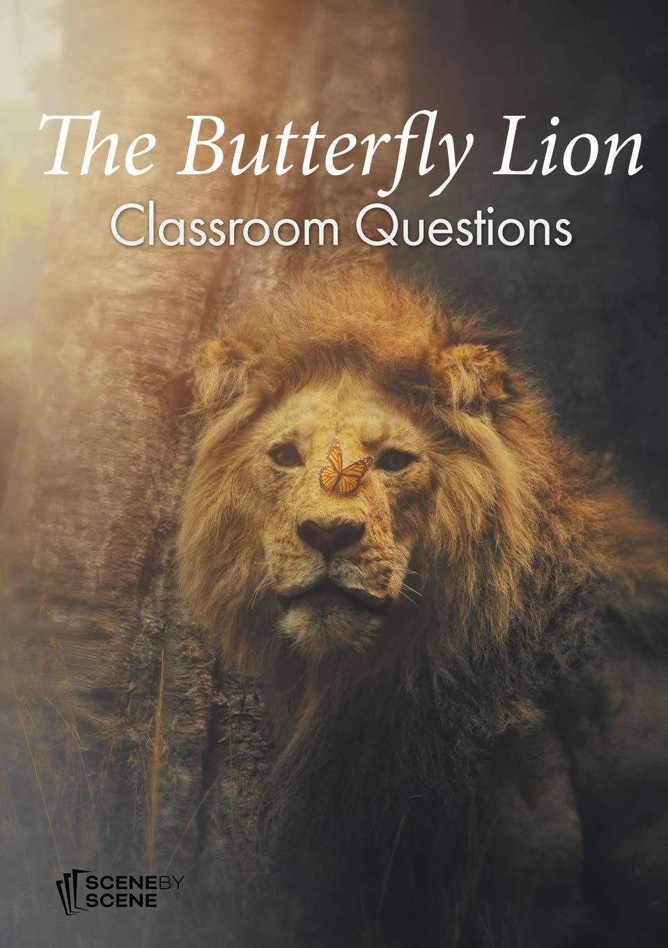 The Butterfly Lion Classroom Questions by Amy Farrell Goodreads