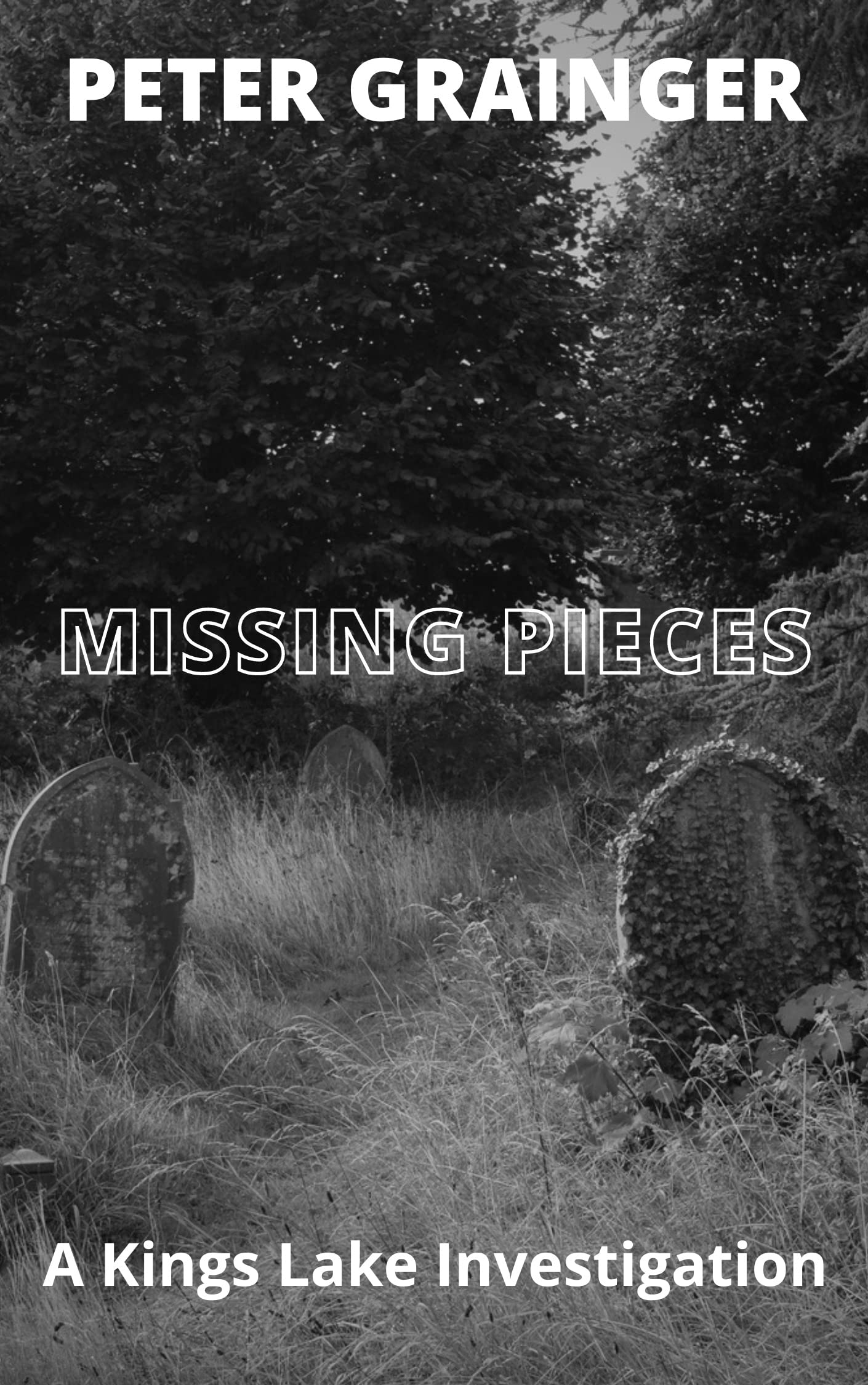 MISSING PIECES book cover