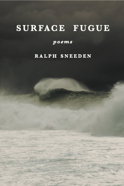 Surface Fugue book cover