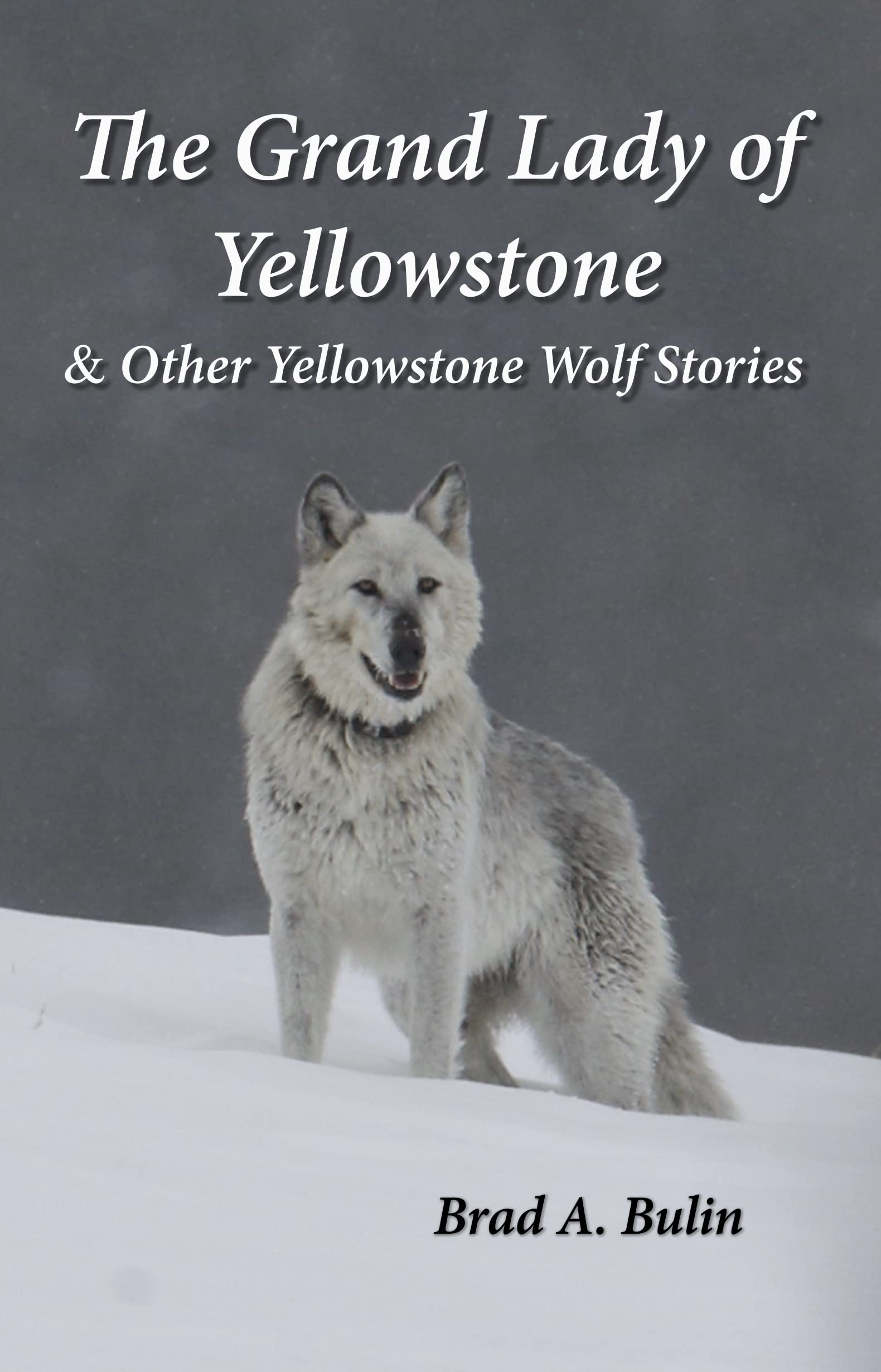 The Grand Lady of Yellowstone & Other Yellowstone Wolf Stories by Brad