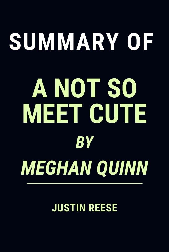 Summary of A Not So Meet Cute By Meghan Quinn