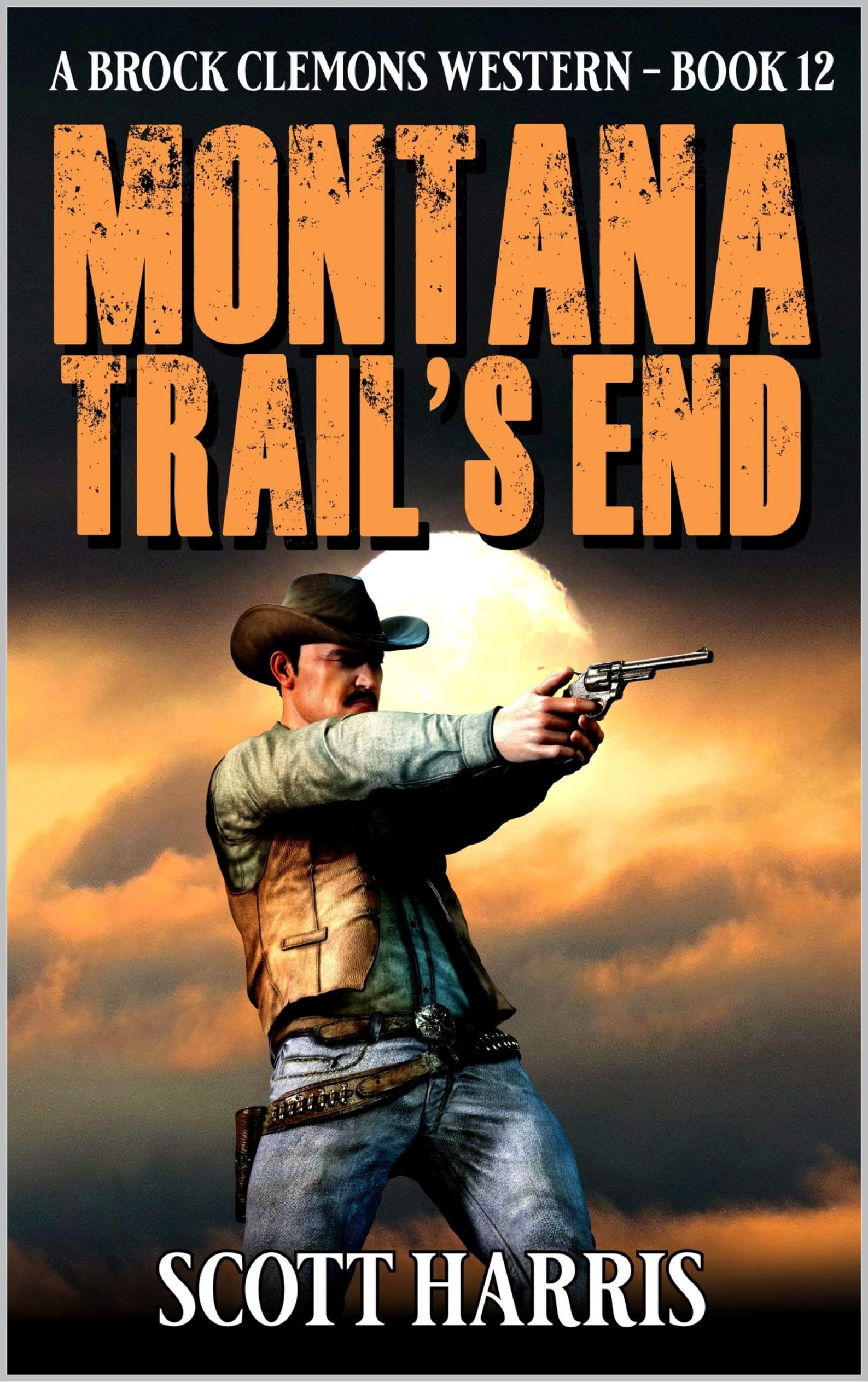 Montana Trail's End book cover
