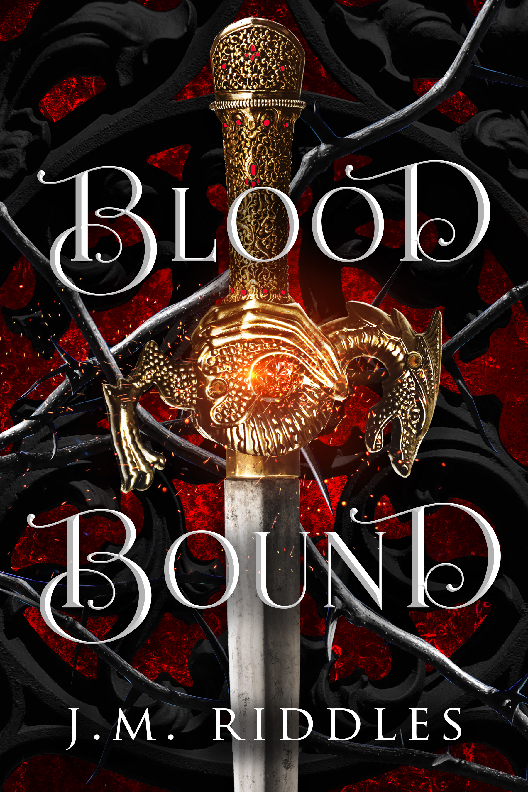 Blood Bound (Convergence 2) by J.M. Riddles Goodreads