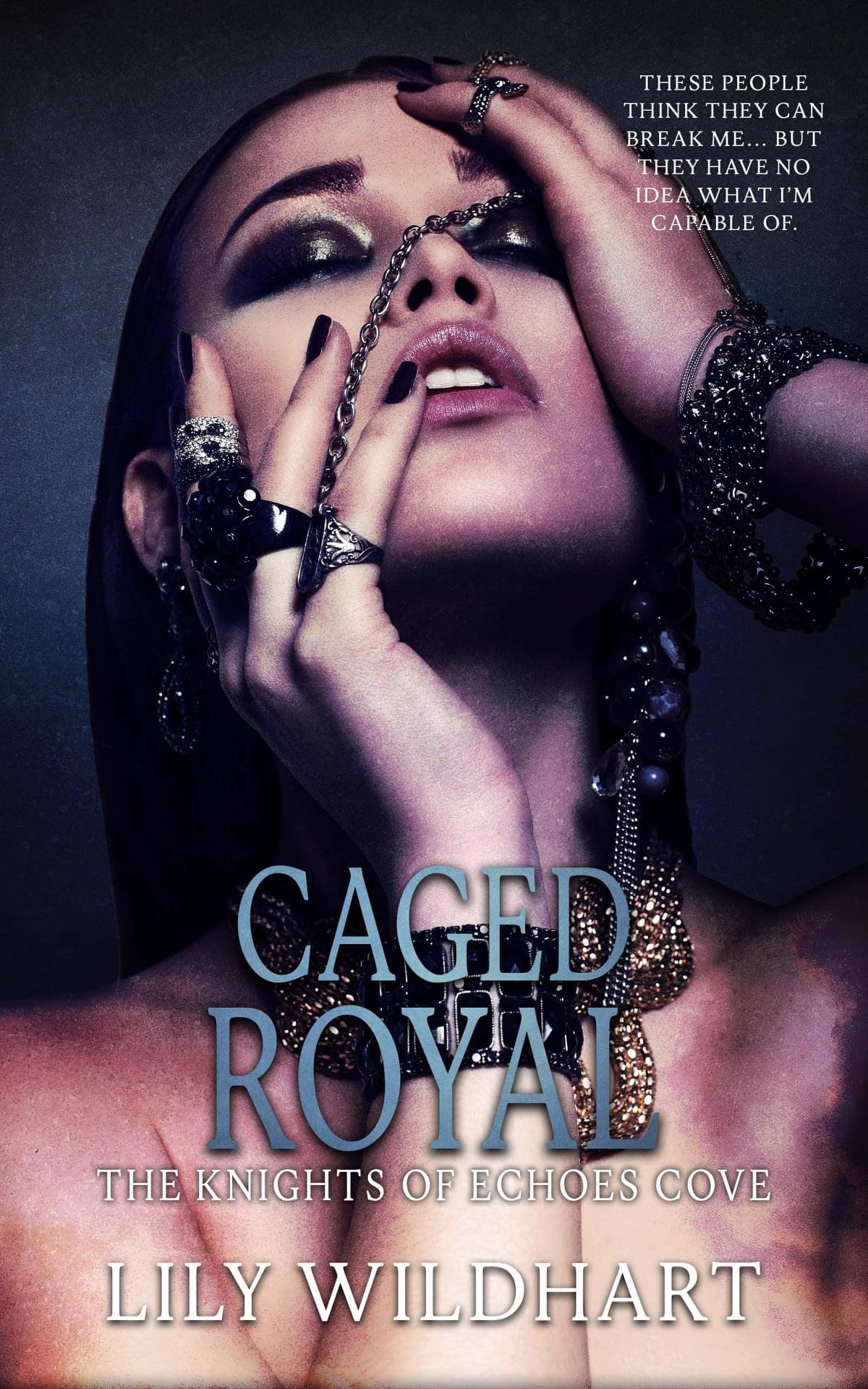 The Knights of Echoes Cove book cover 3