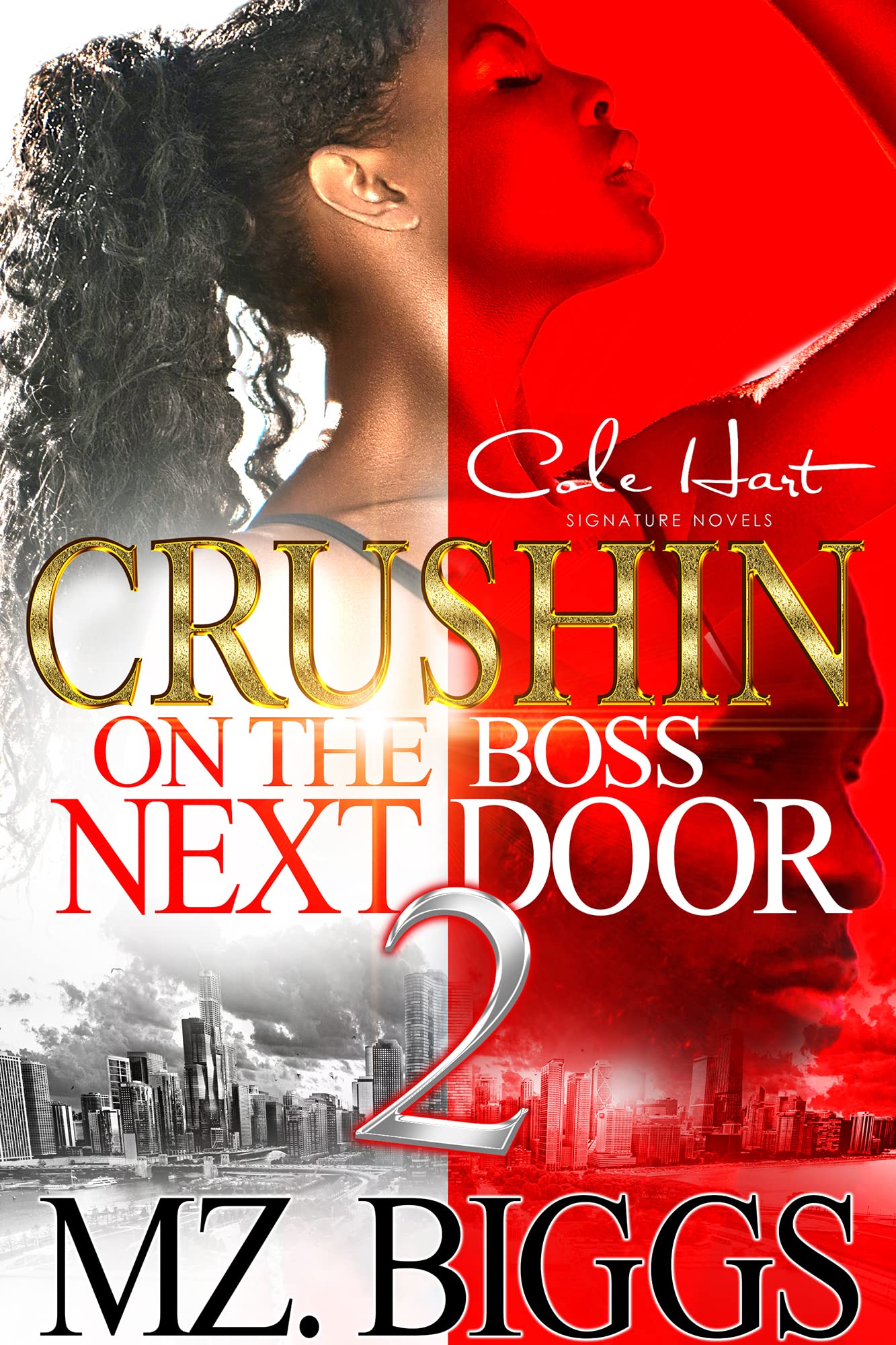 Crushin' On The Boss Next Door 2 book cover
