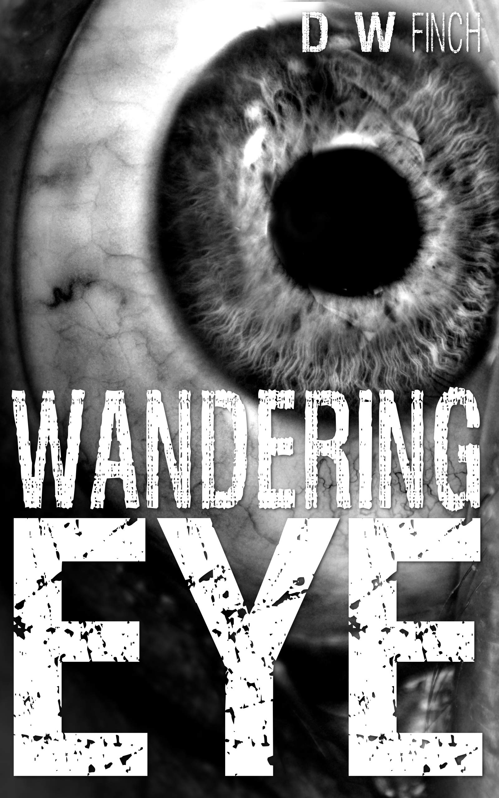Wandering Eye by D.W. Finch Goodreads