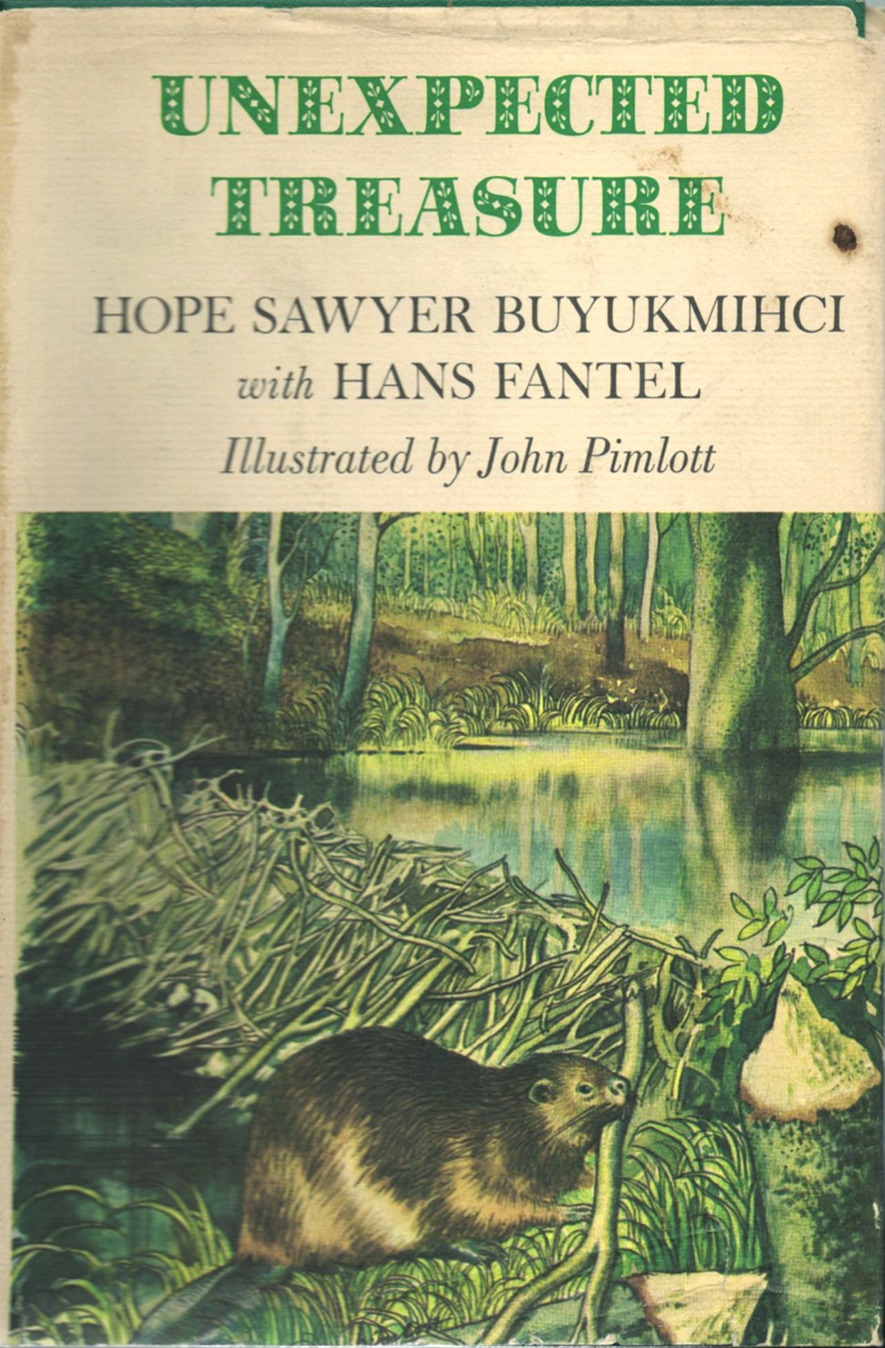 Unexpected Treasure by Hope Sawyer Buyukmihci | Goodreads
