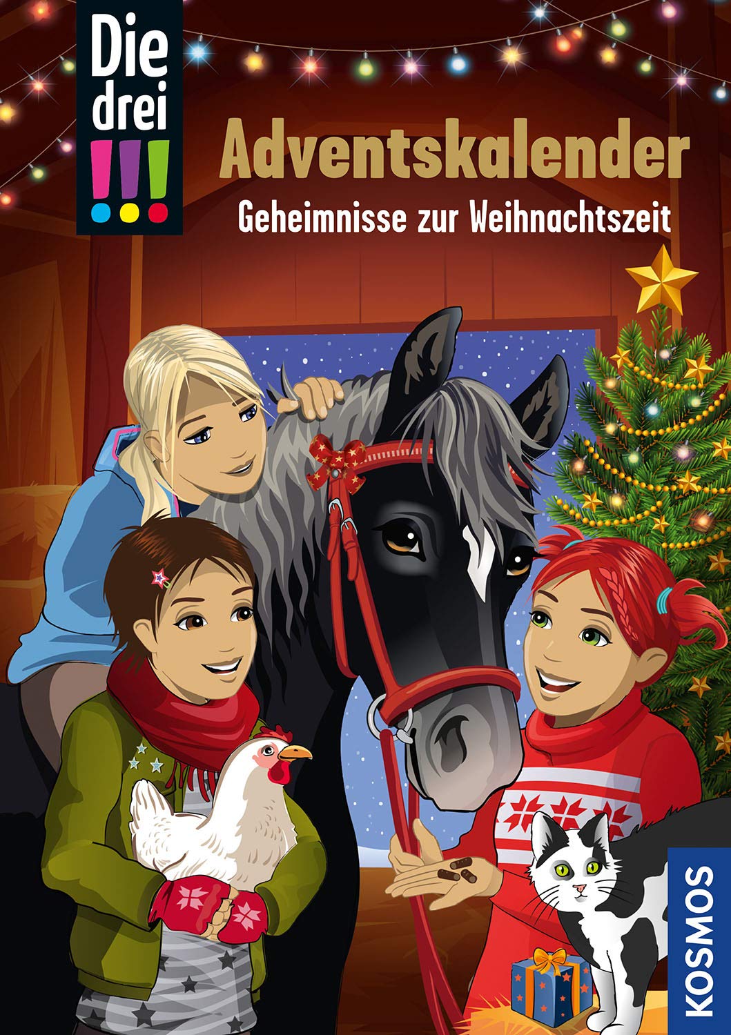 Geheimnisse zur Weihnachtszeit book cover