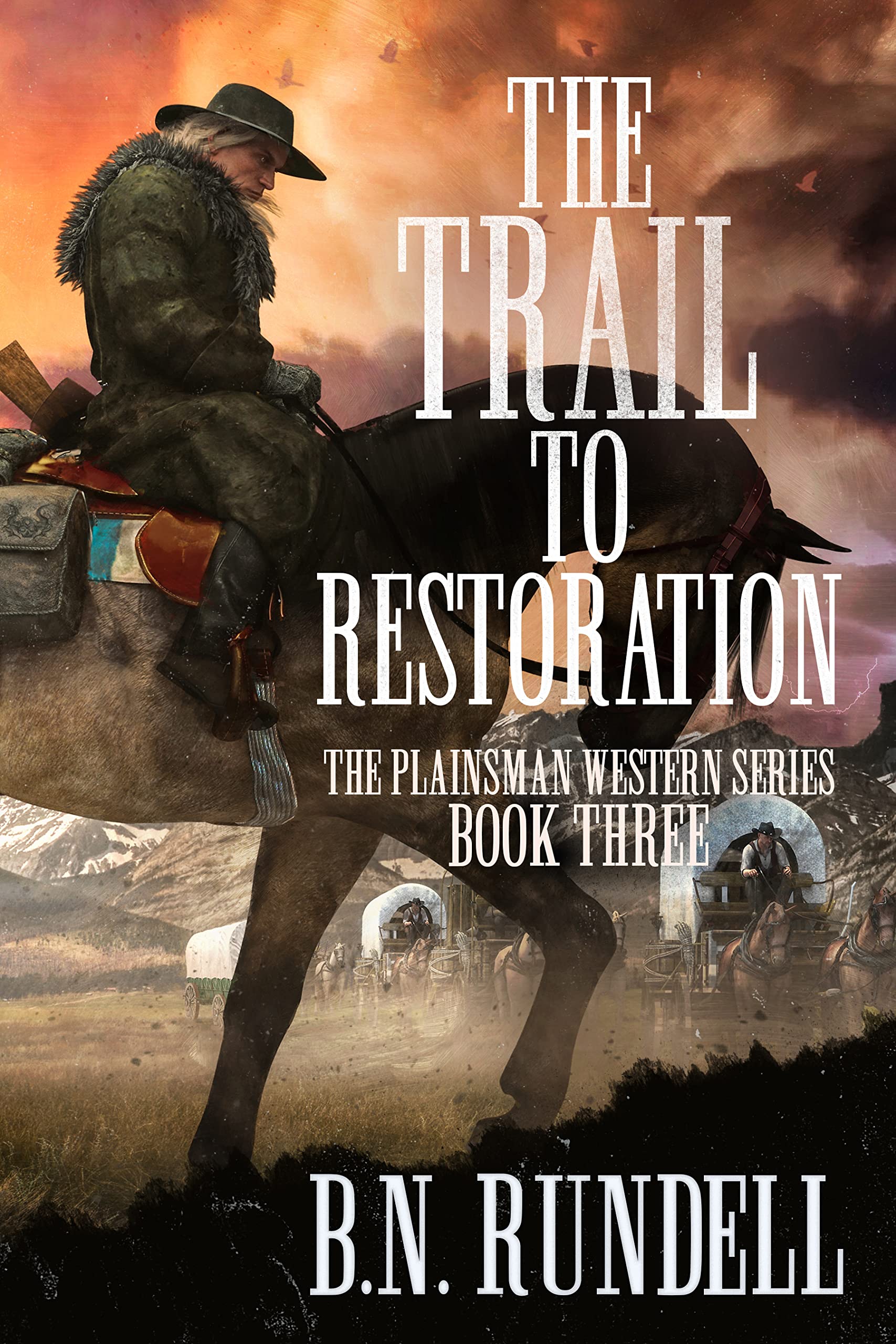 Plainsman Western Series book cover 3