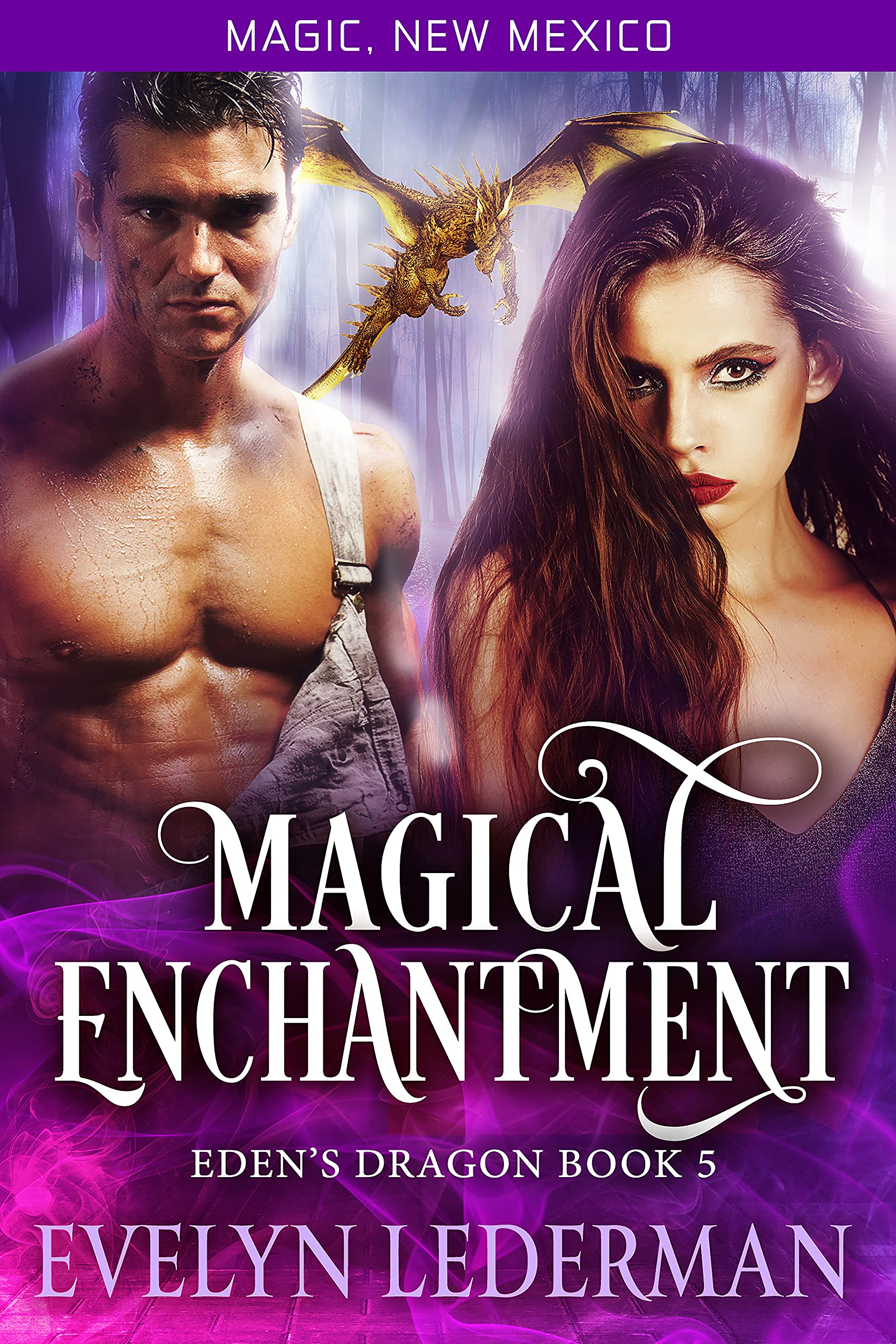 Magical Enchantment book cover