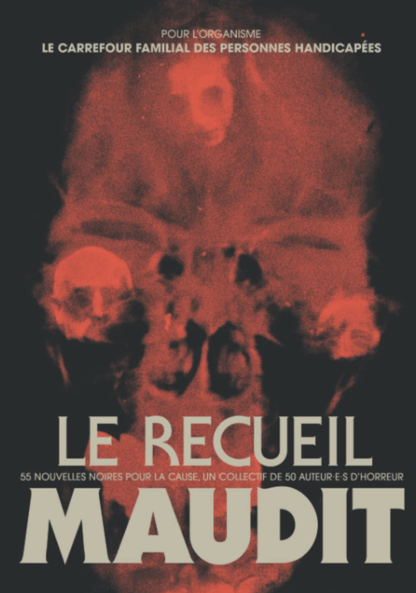 Le recueil maudit book cover