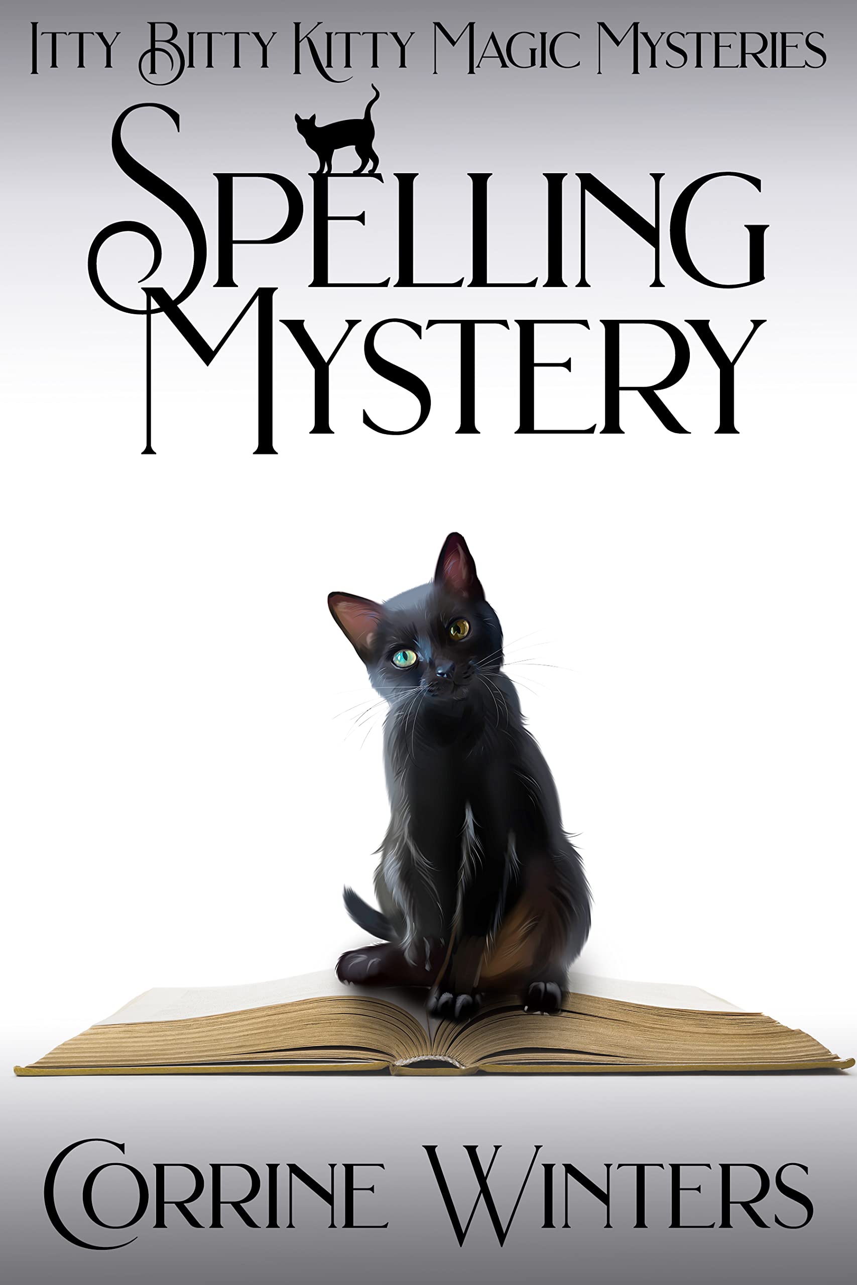Spelling Mystery book cover