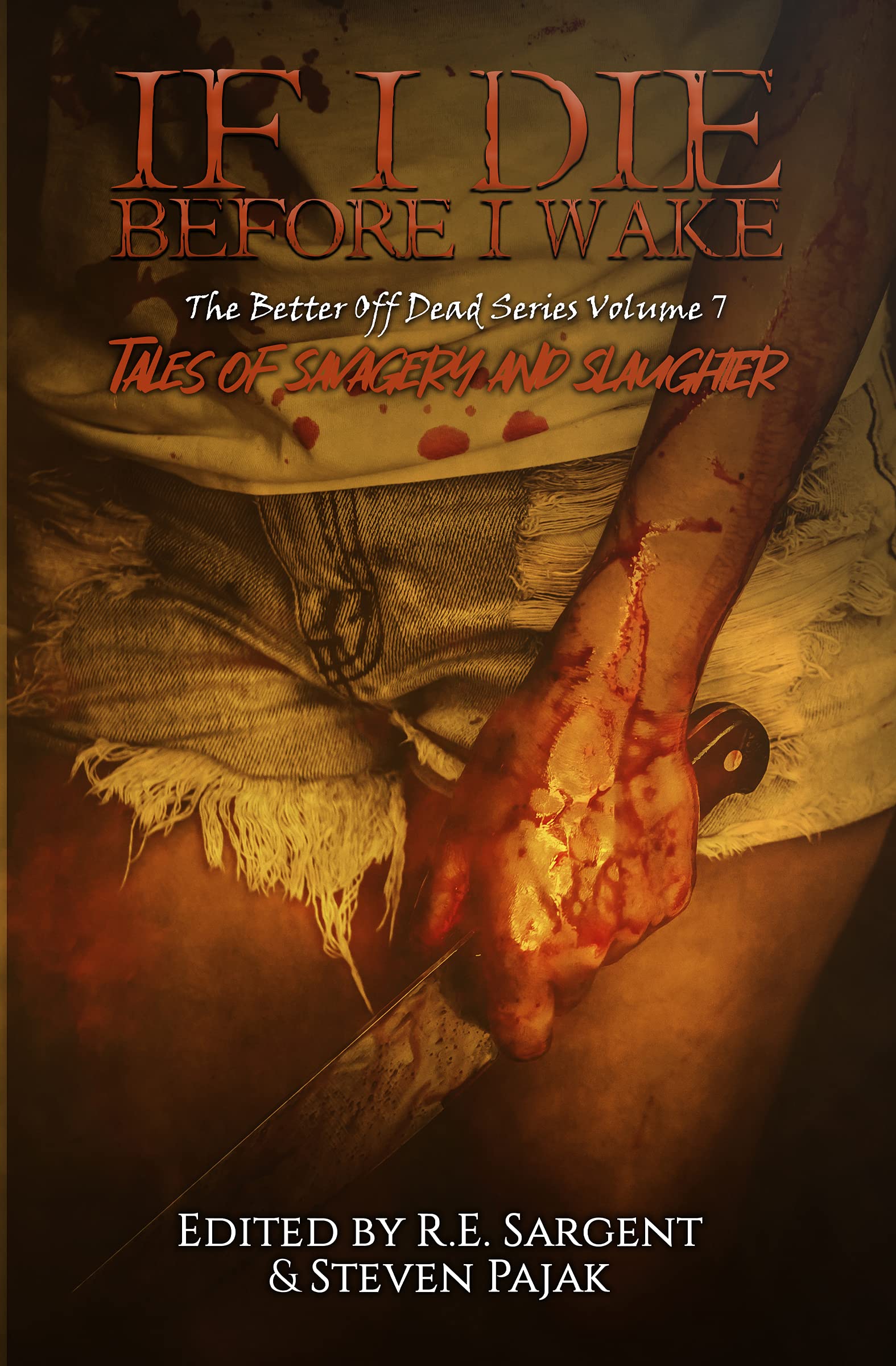 If I Die Before I Wake book cover
