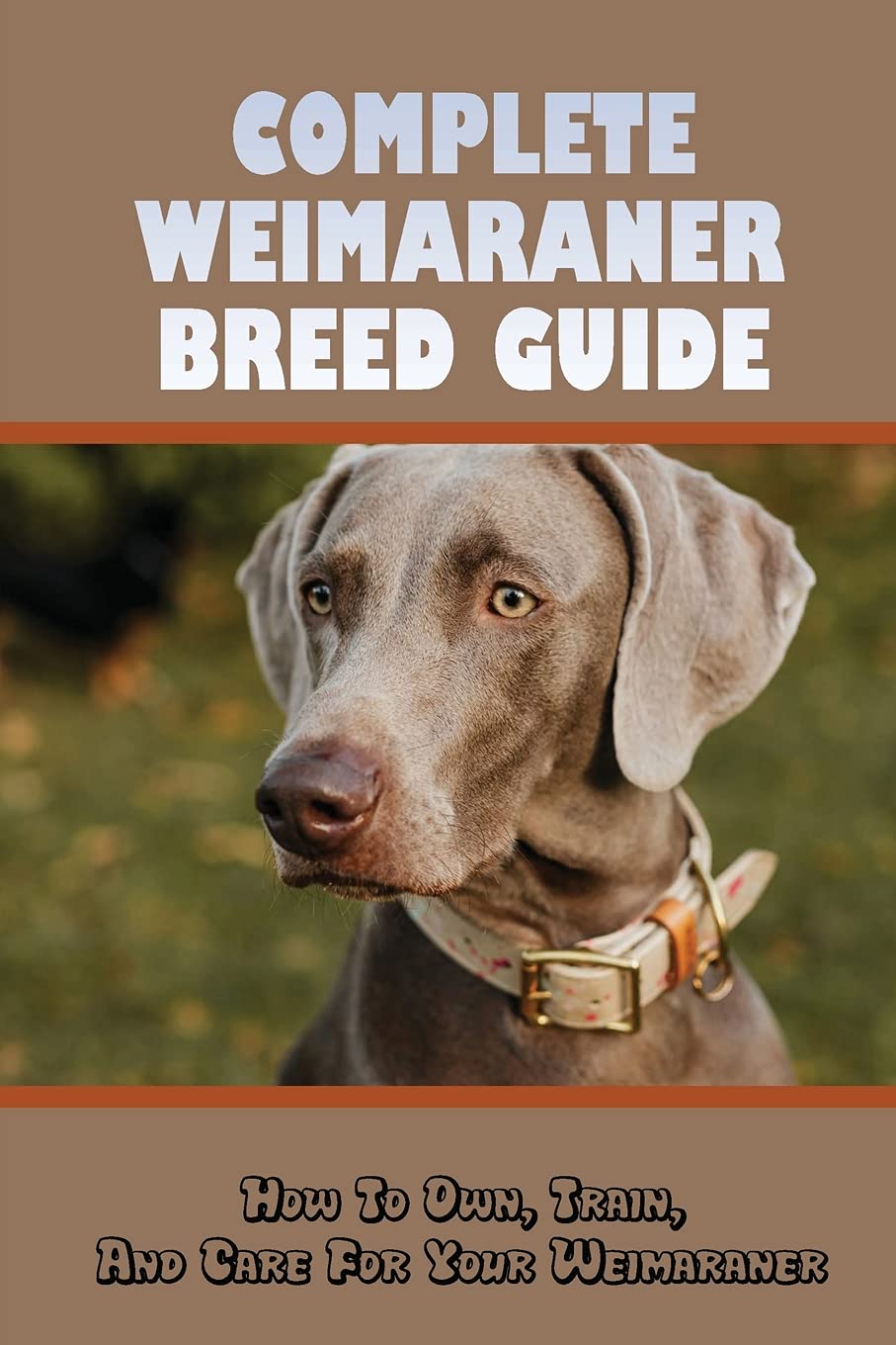 Complete Weimaraner Breed Guide How To Own, Train, And Care For Your