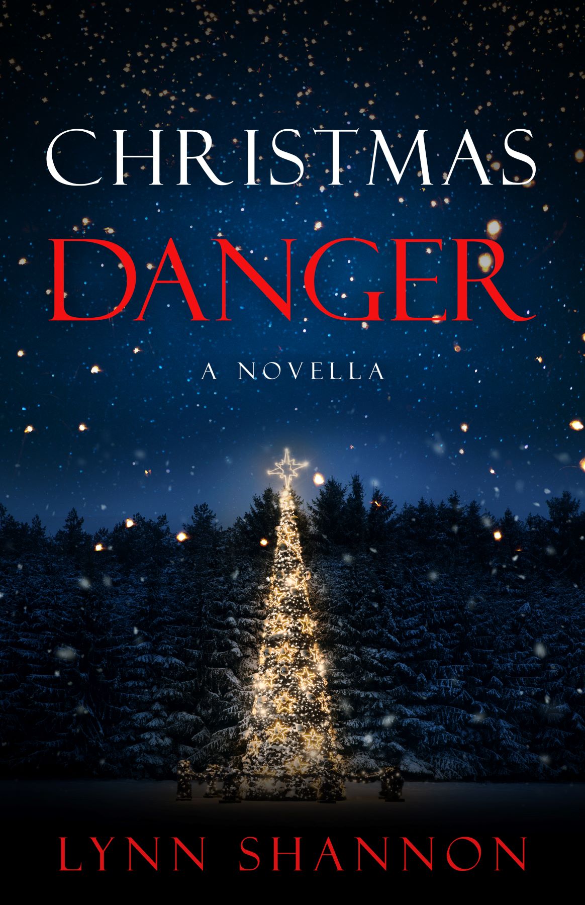 Christmas Danger book cover